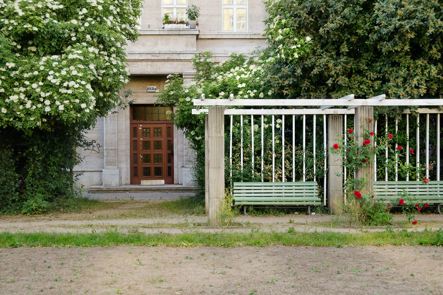 Rosengarten an der Karl-Marx-Allee