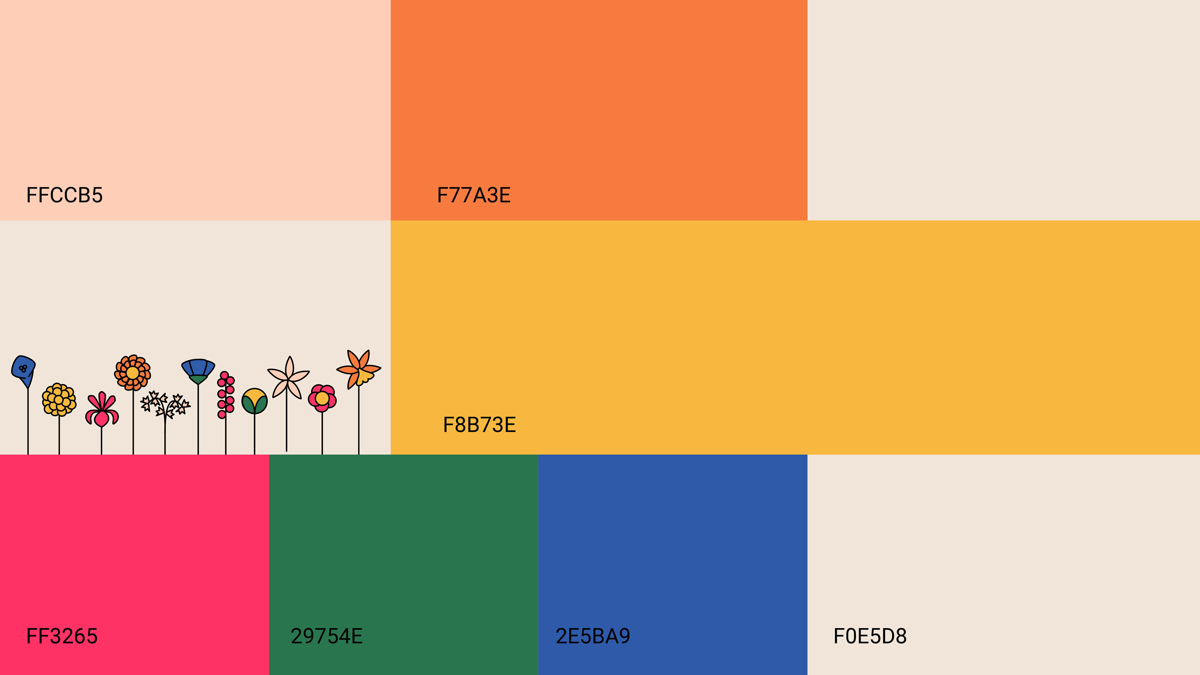 The color palette and HEX codes