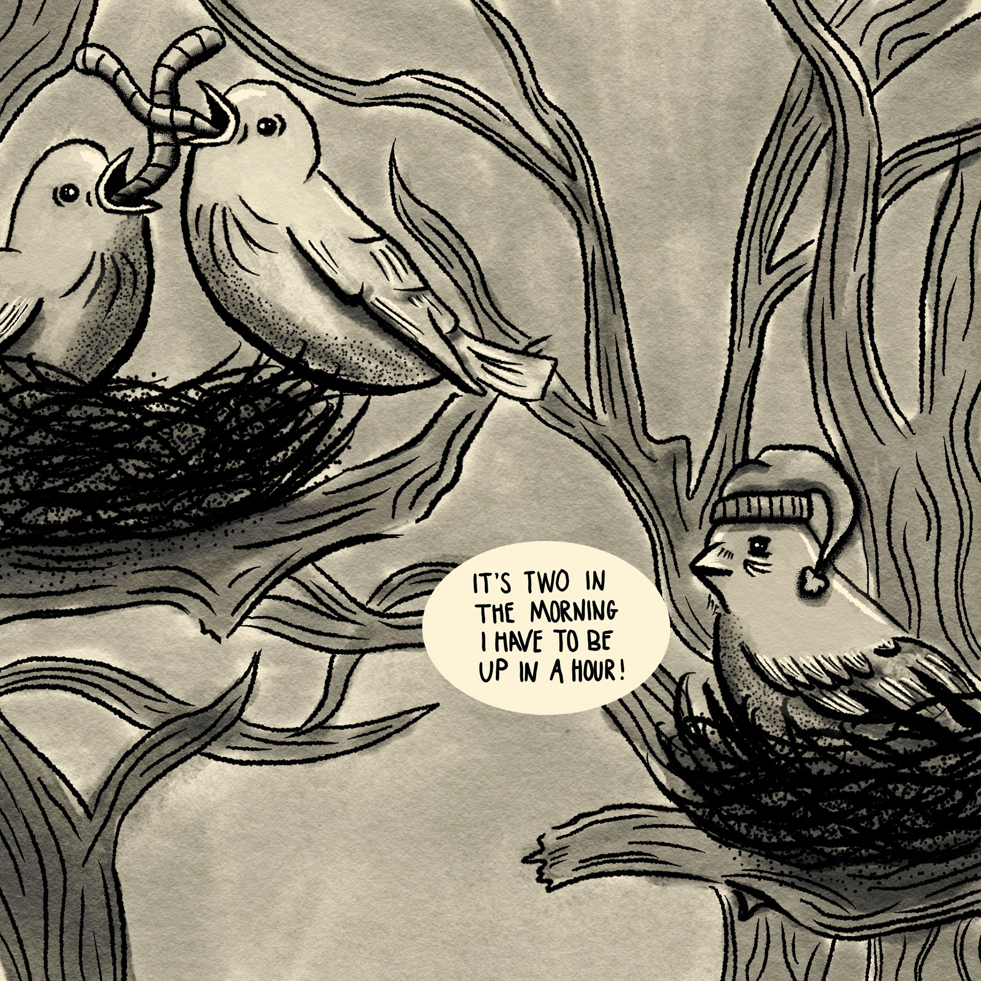 Day 9 Nest