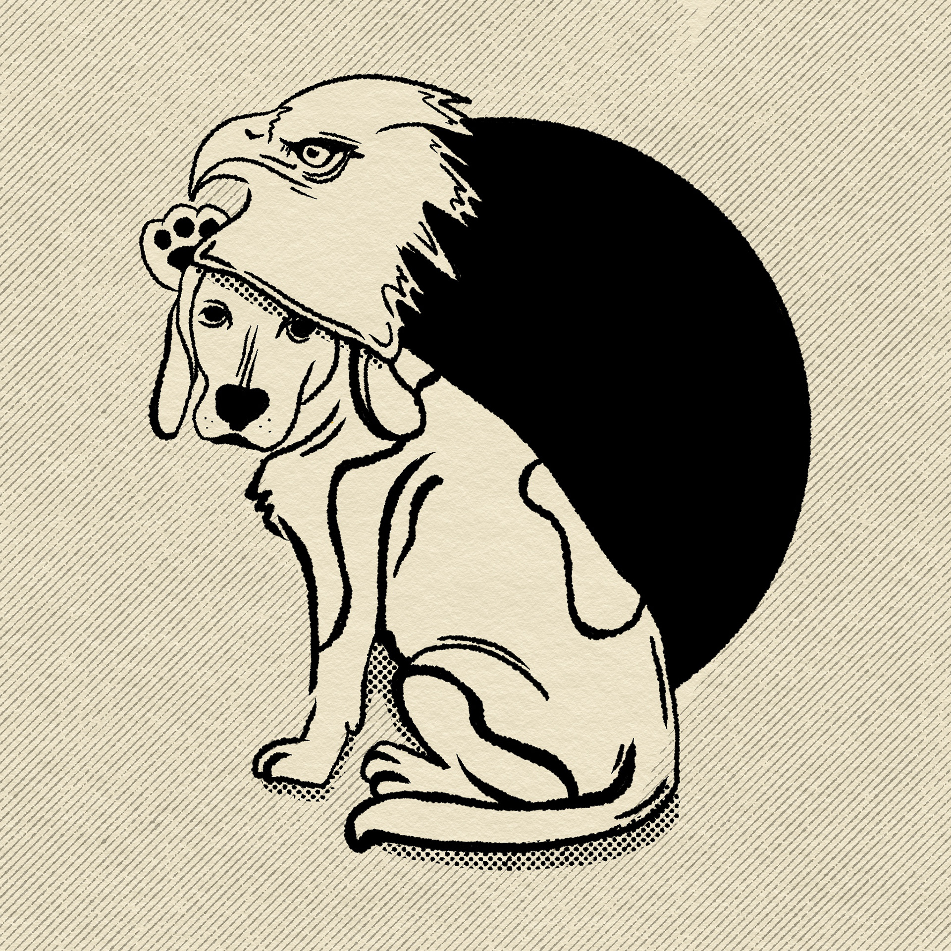 Day 11 Eagle