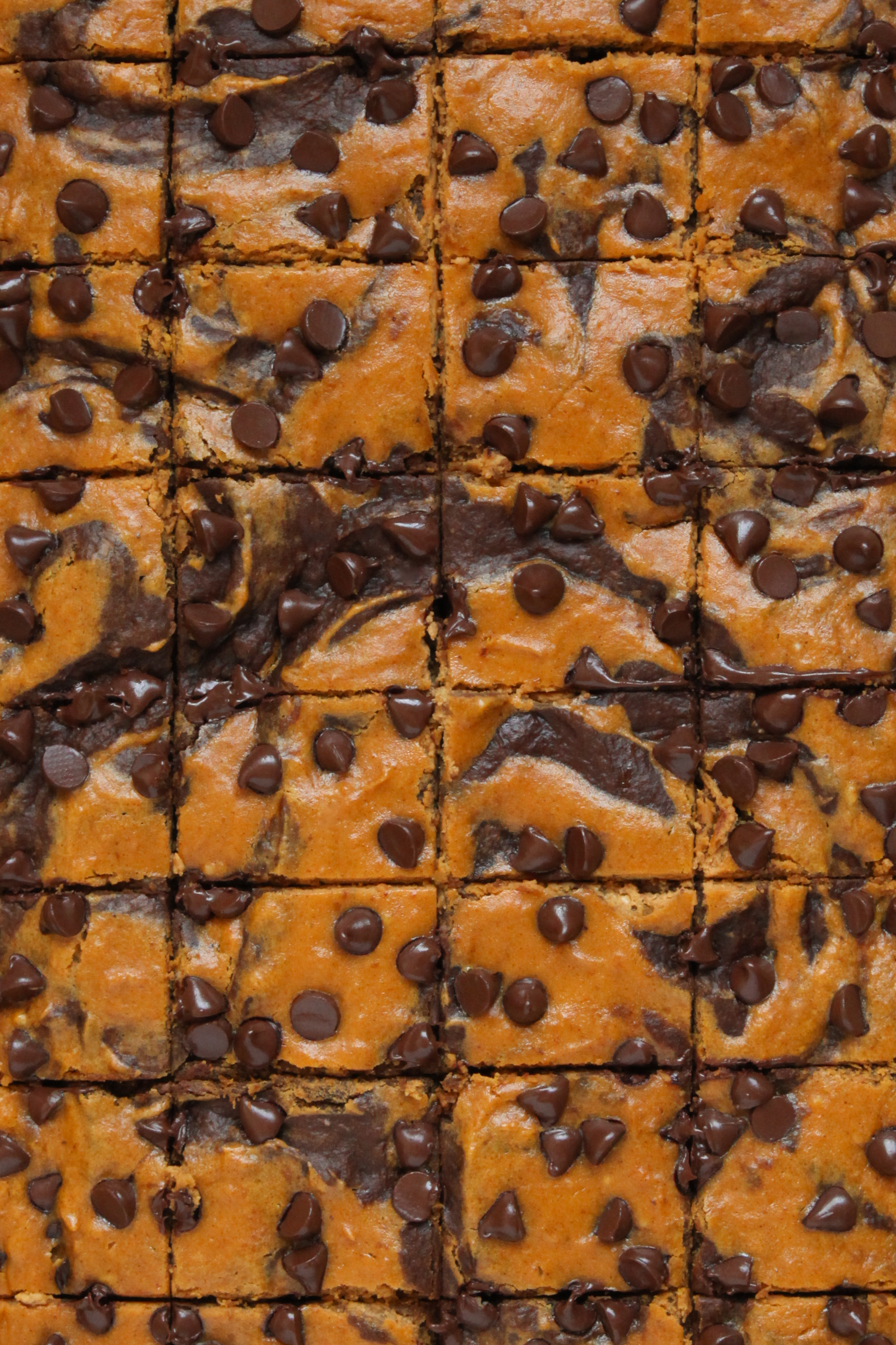 Taste of Home: food styling, photography