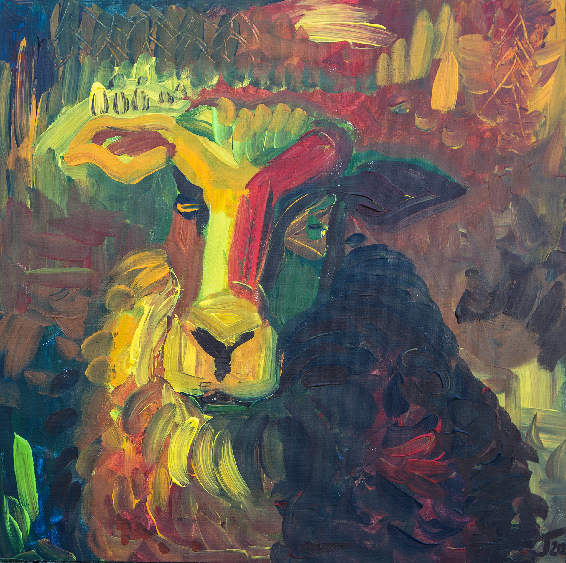 Kateřina Jezevec Hamplová