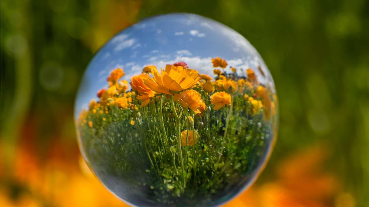 Keith Mizuno - April Cheryse