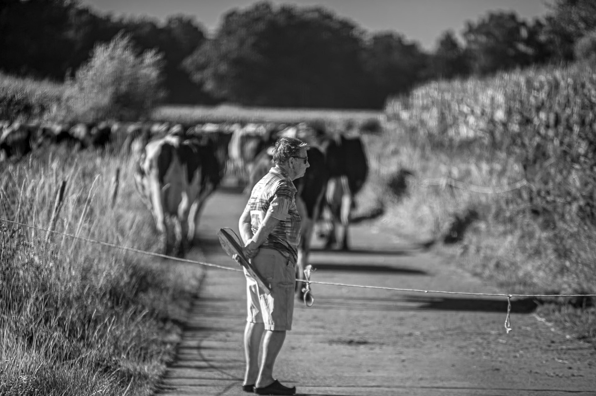 Stekene, Waasland