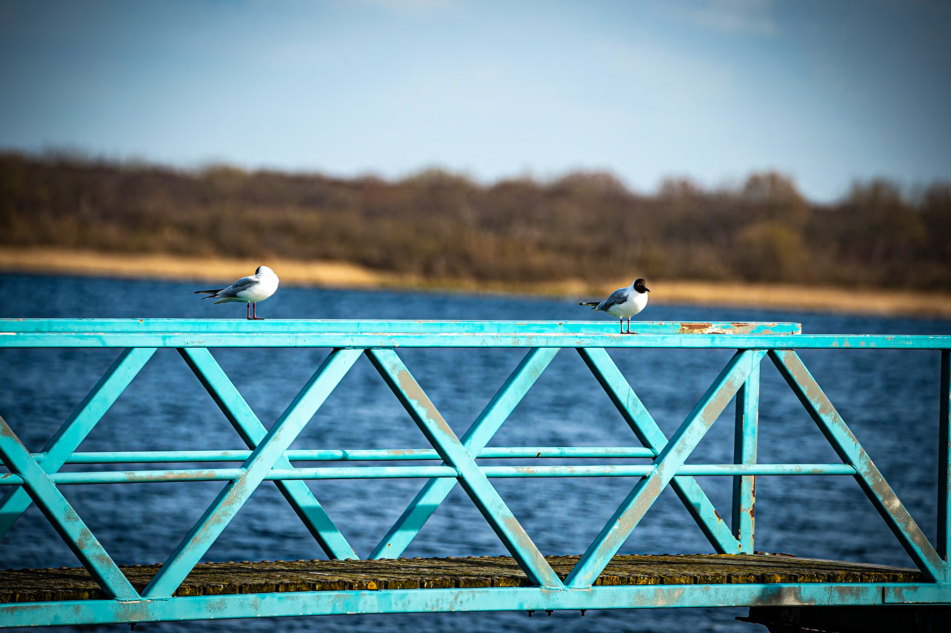 Zeeland
