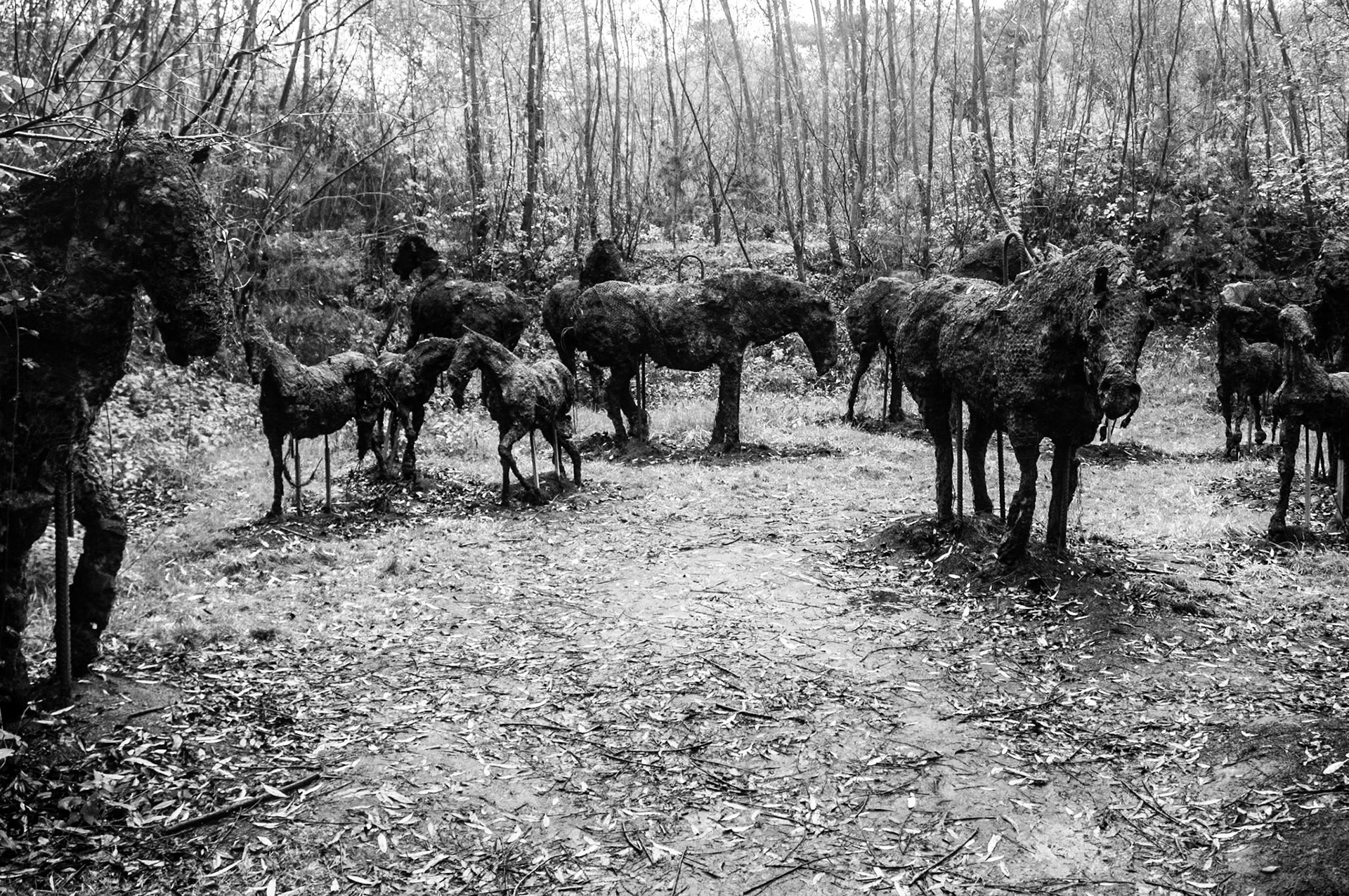 Verbeke Foundation