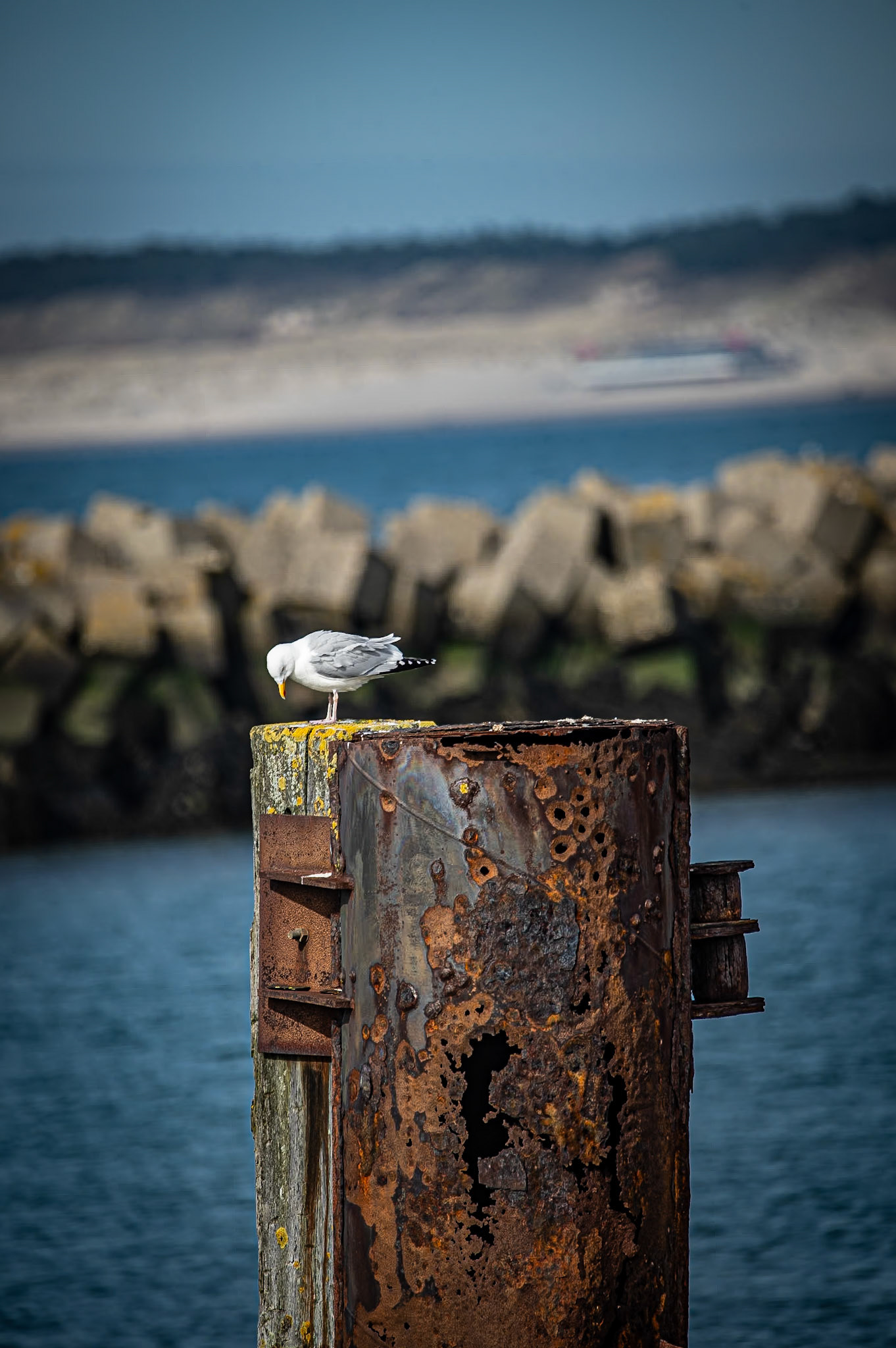 Zeeland