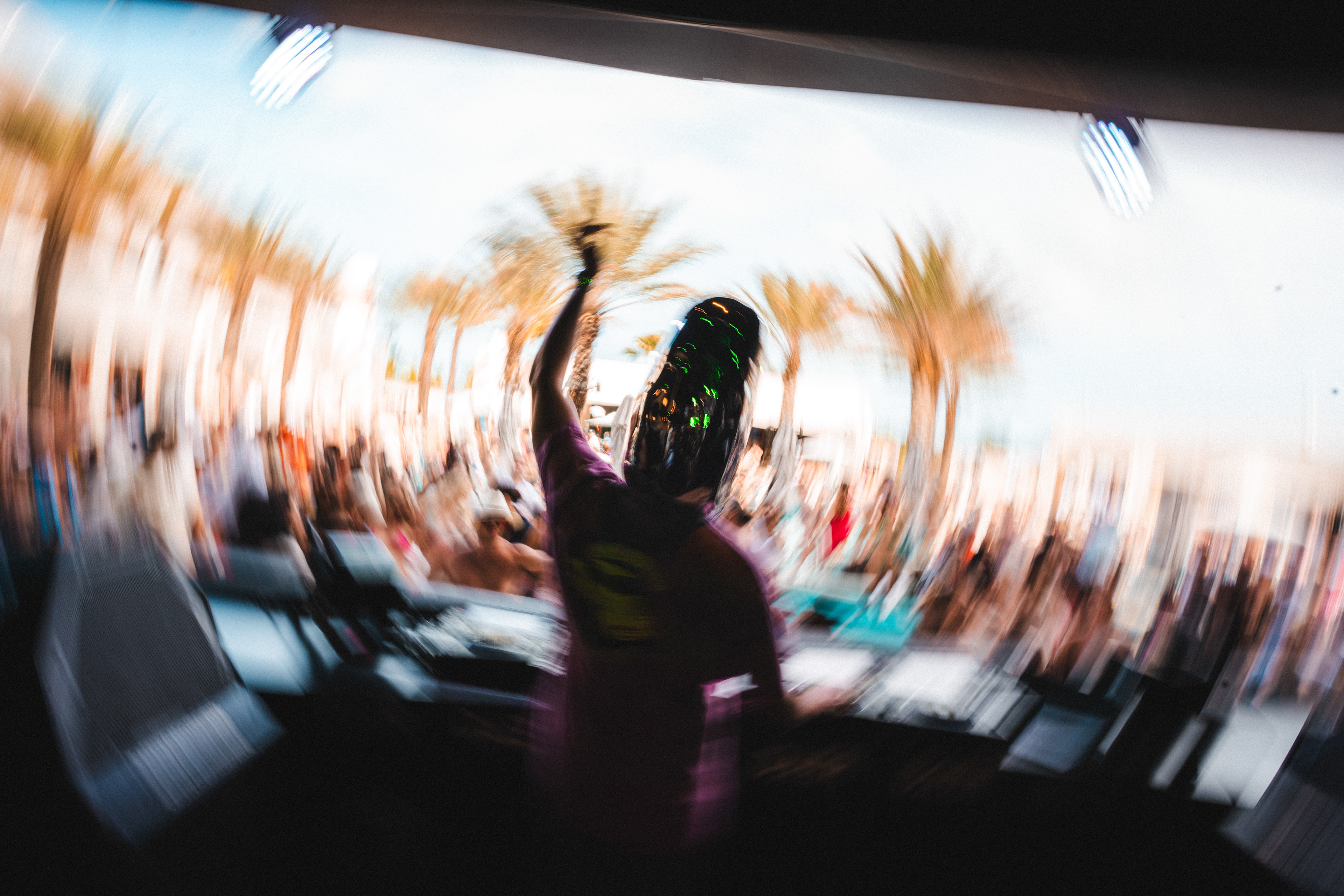 Pickle | DAER South Florida