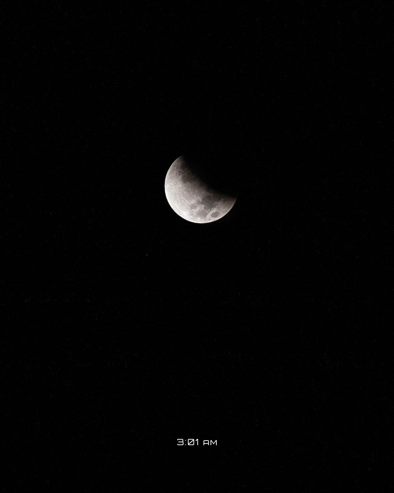LUNAR ECLIPSE (NOV '21)