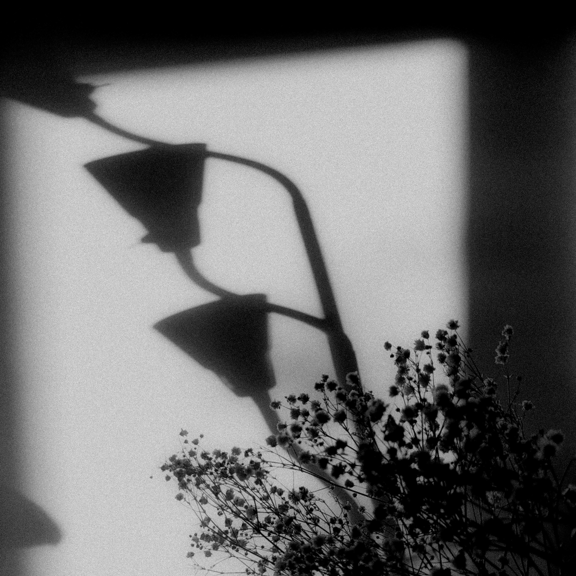 Valentin Vidal photographe noir et blanc black & white portrait surrealism