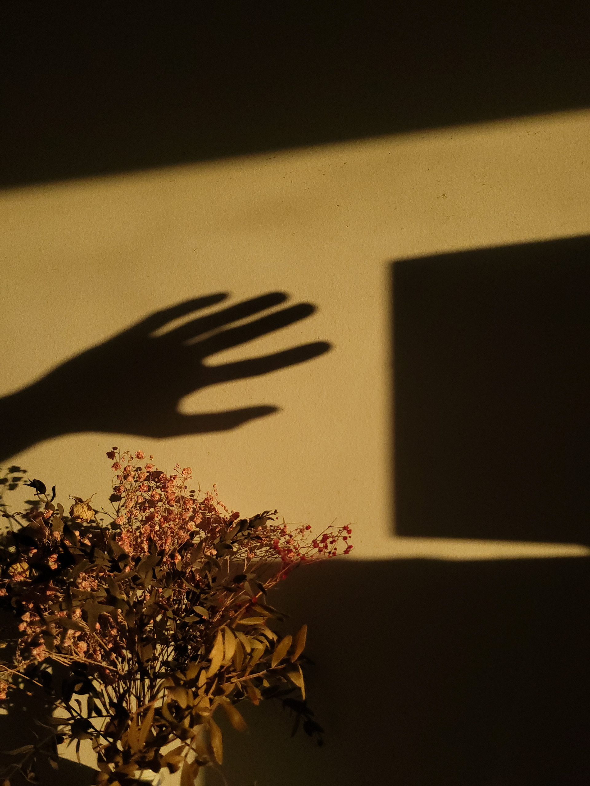 Valentin Vidal photographe