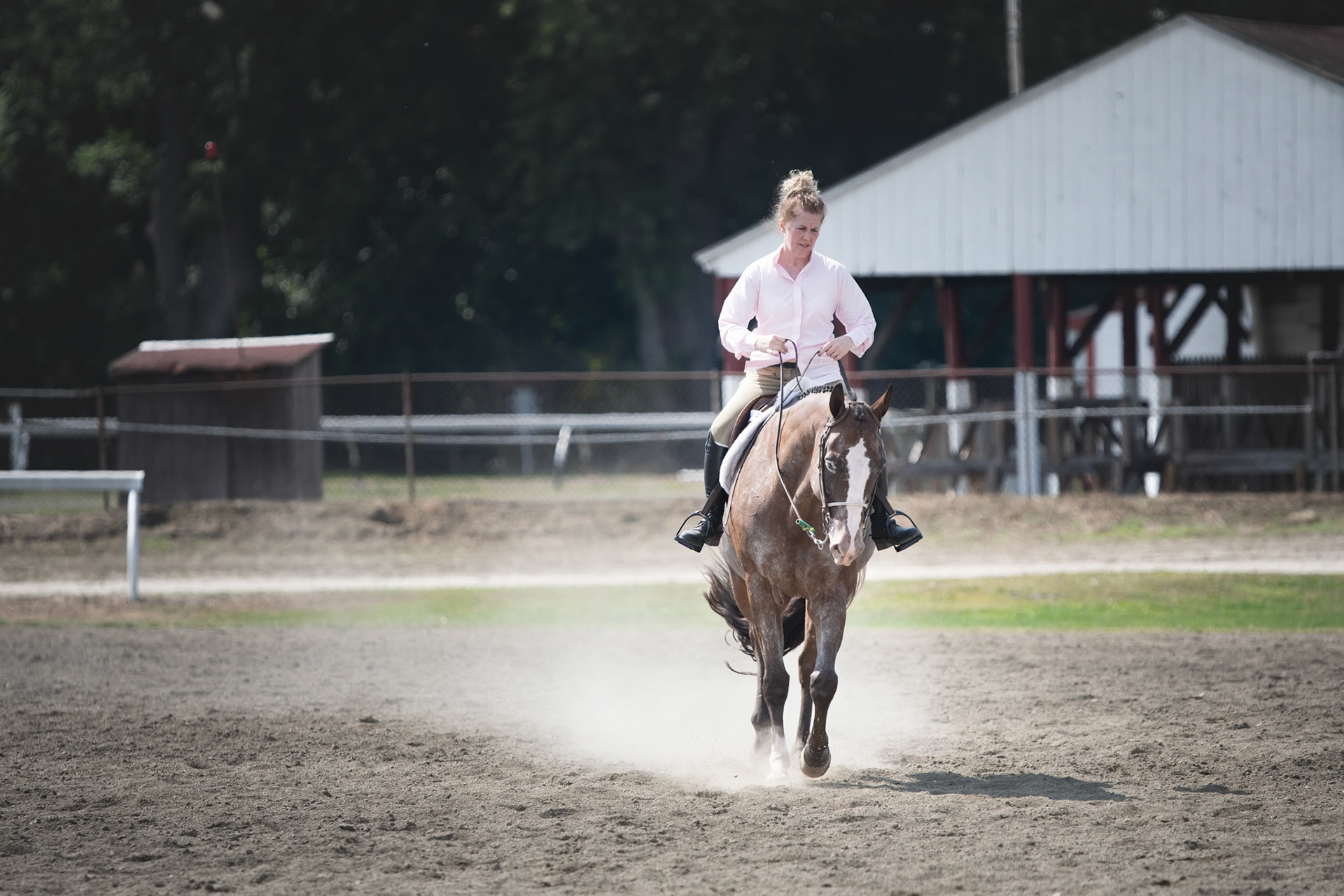 Northampton Horse Show