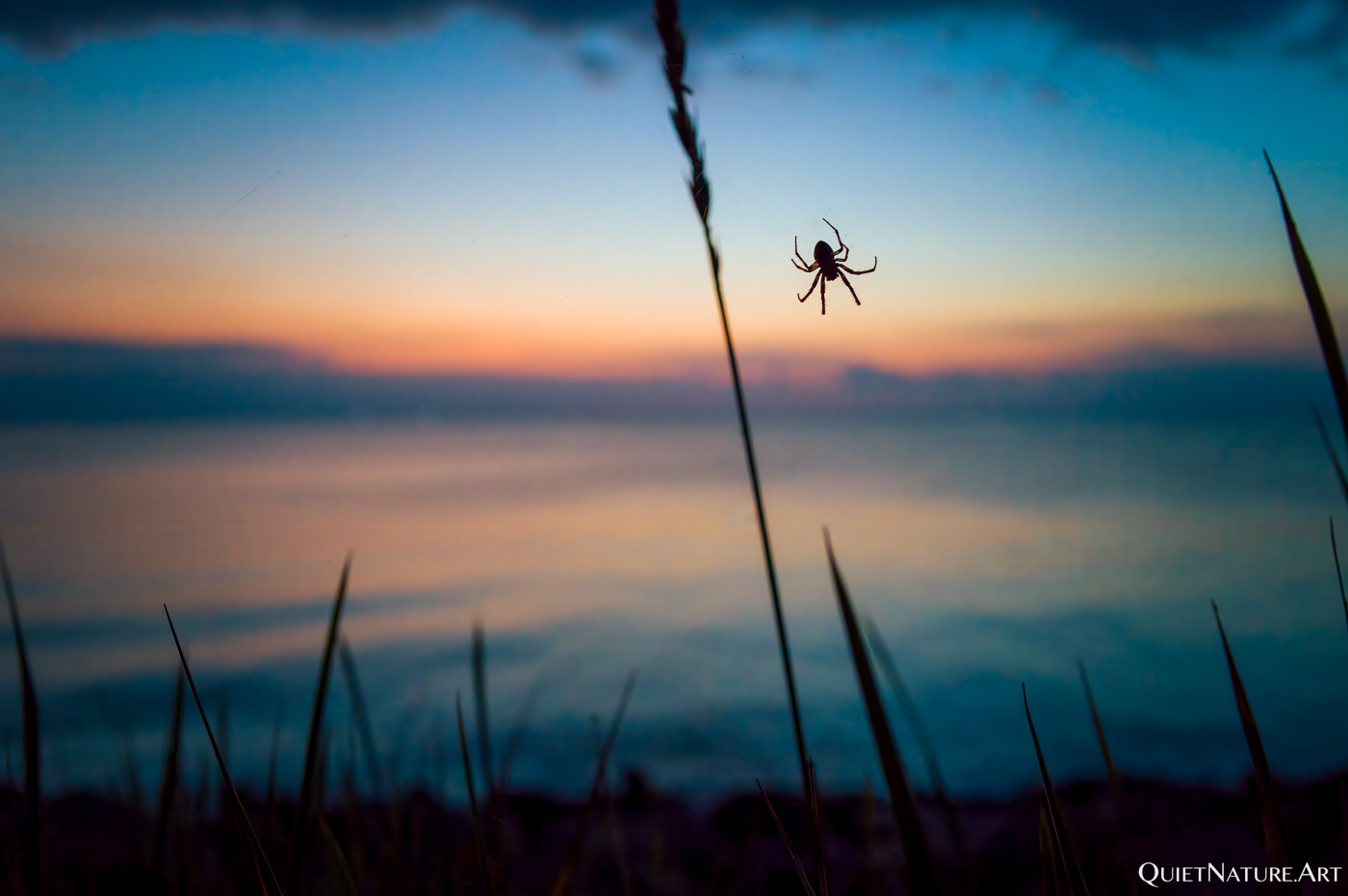 Waiting for sunrise