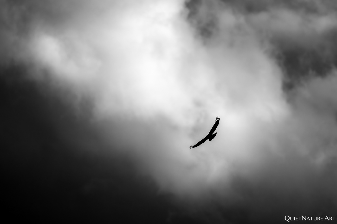 Storm Rider 1