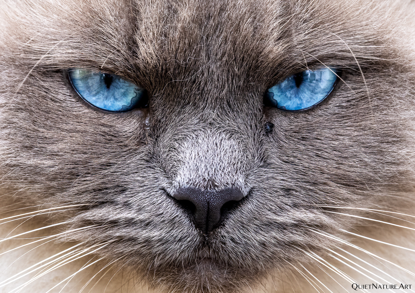 Be nice to me, I had a hard day.