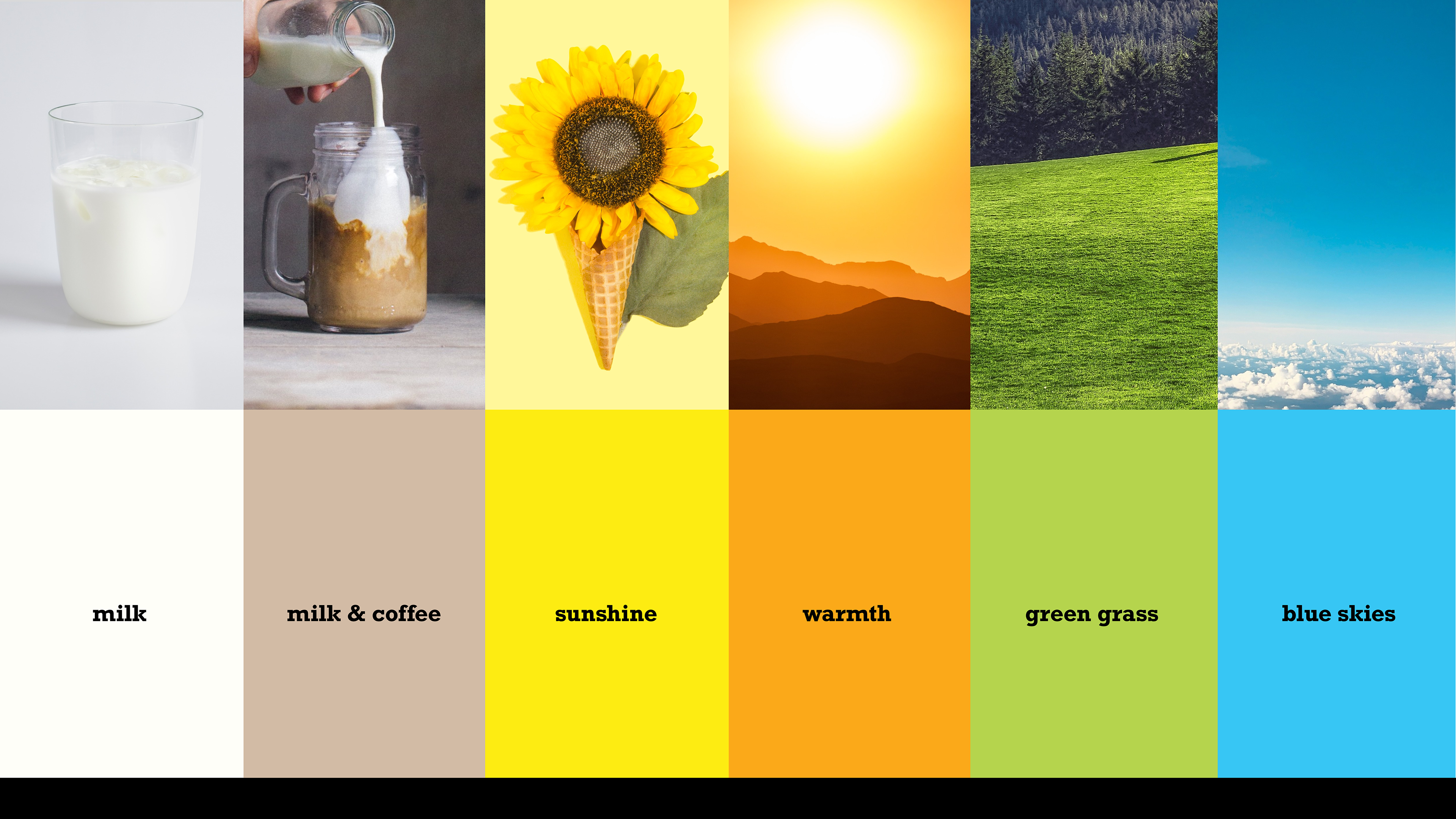 Brand Colours