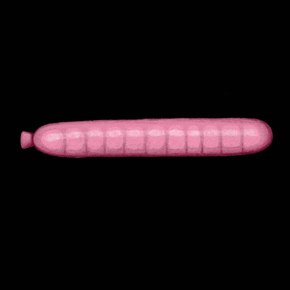 Worm