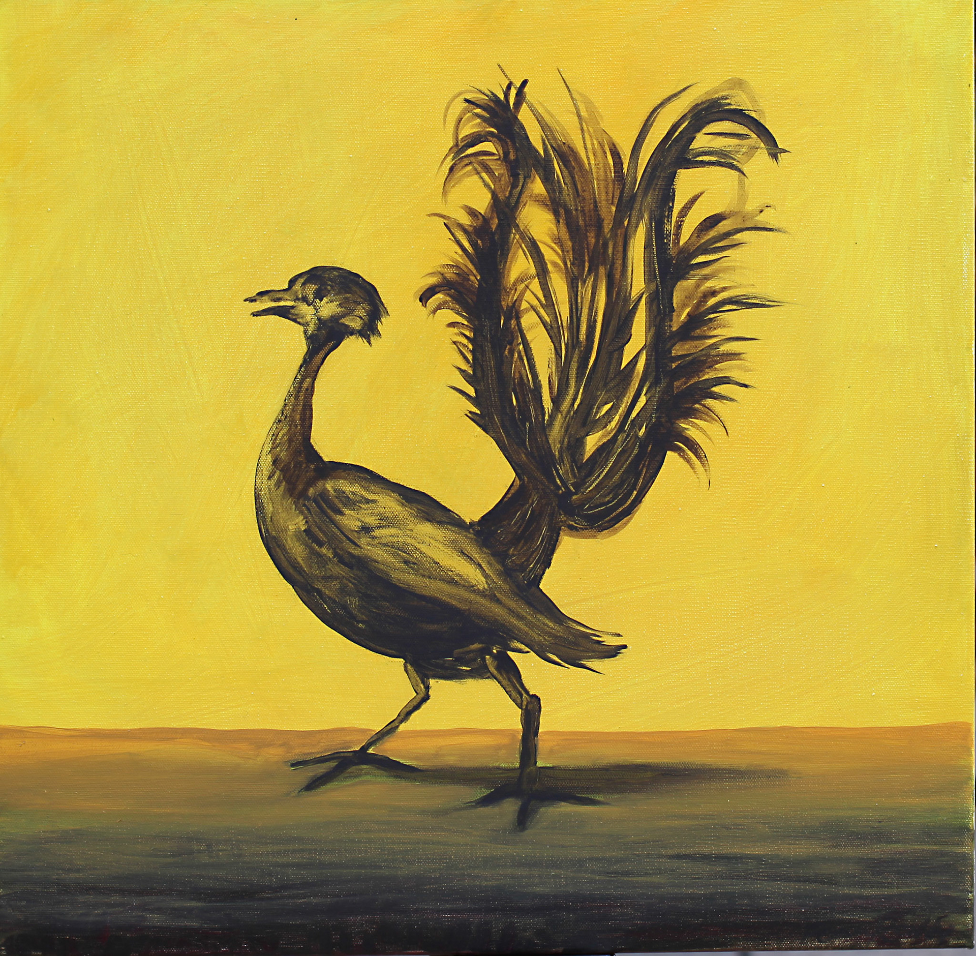 Lyrebird