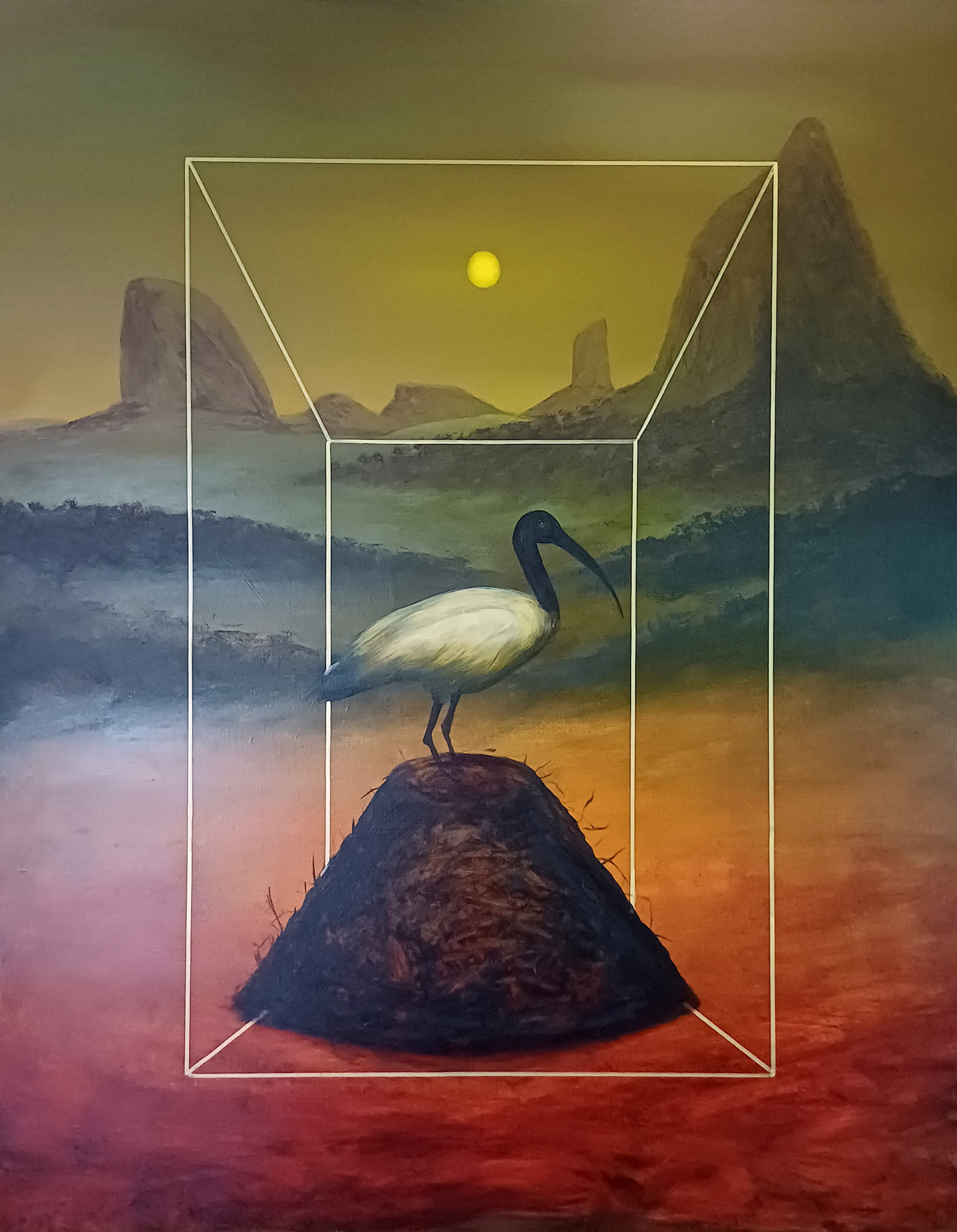 The Ibis And The Glass House