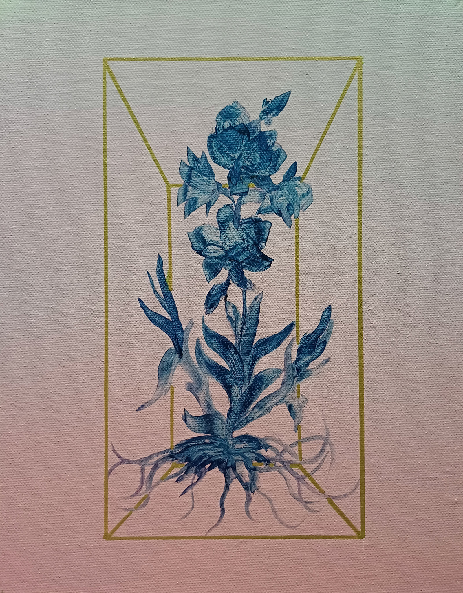 Field Notes from a False Paradise 1