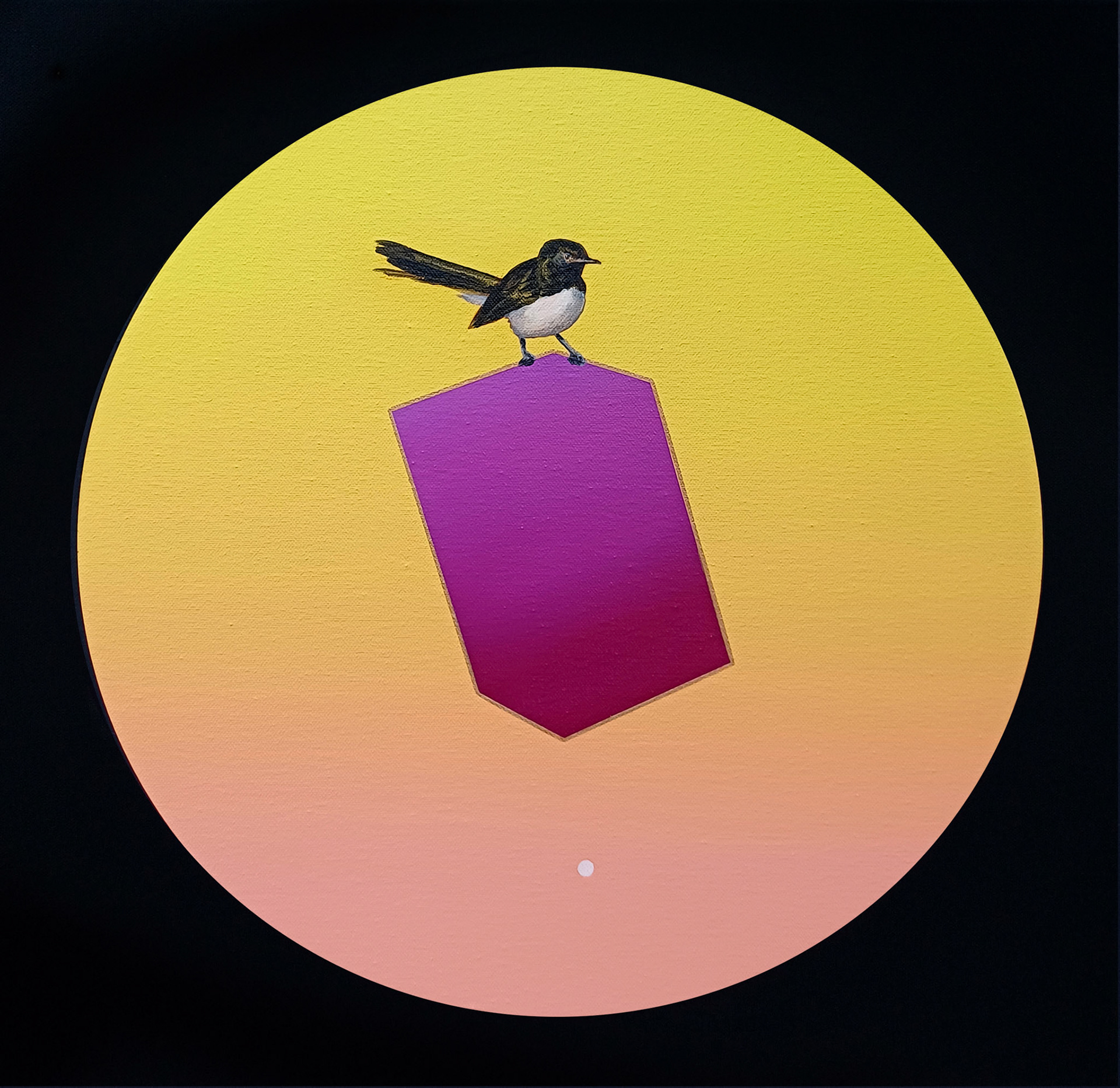 Illusion of Lightness