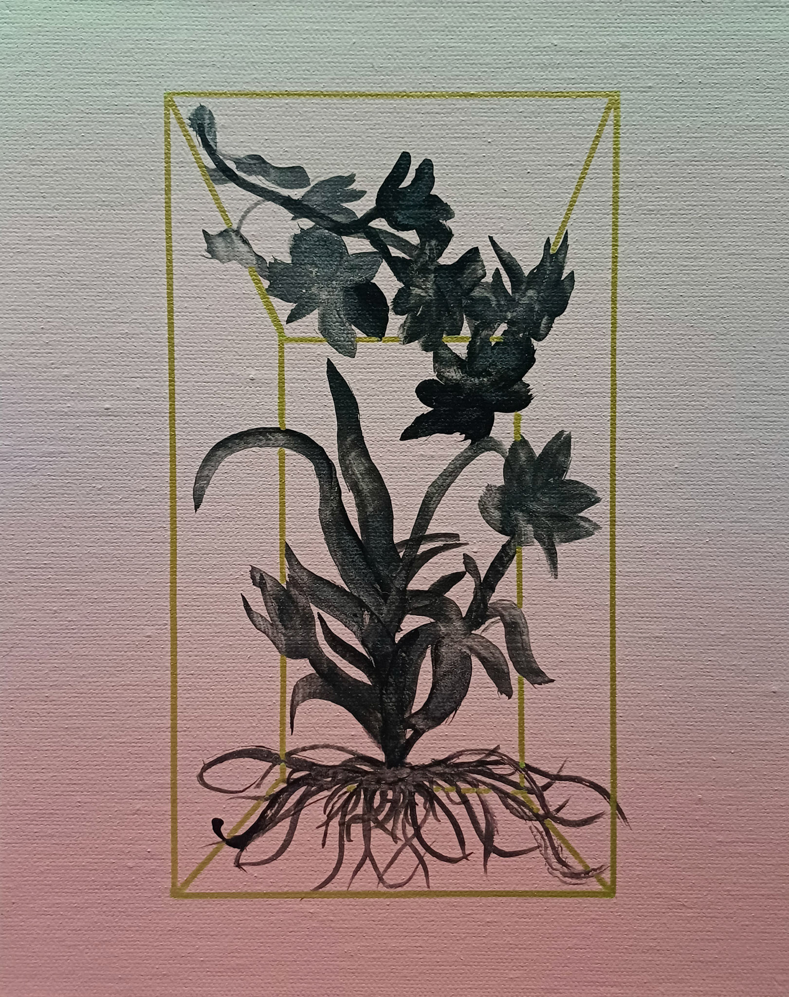 Field Notes from a False Paradise 2