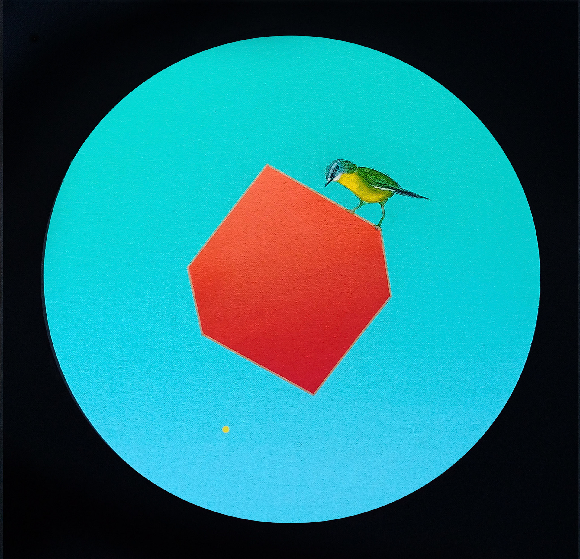 Illusion of Lightness