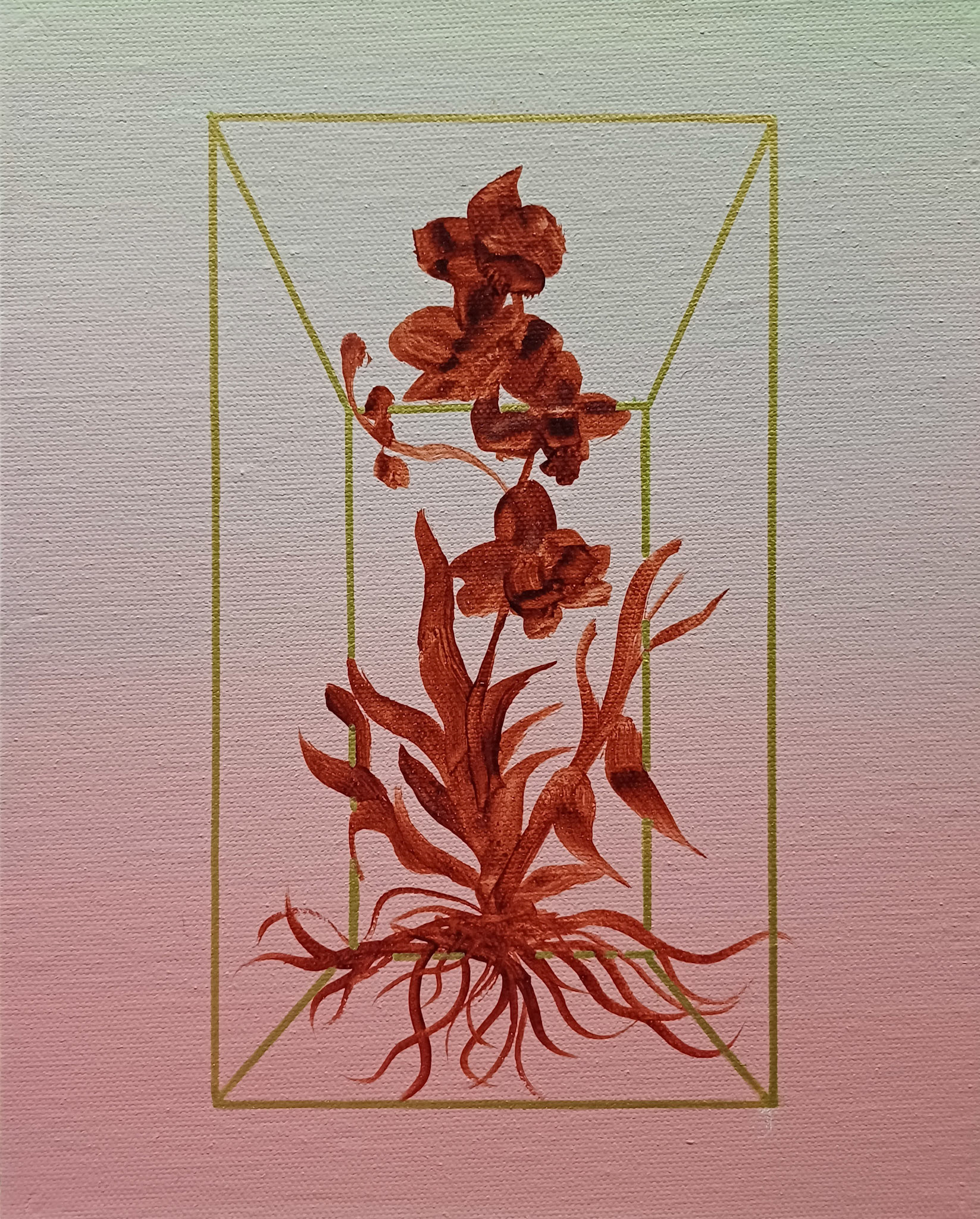 Field Notes from a False Paradise 3