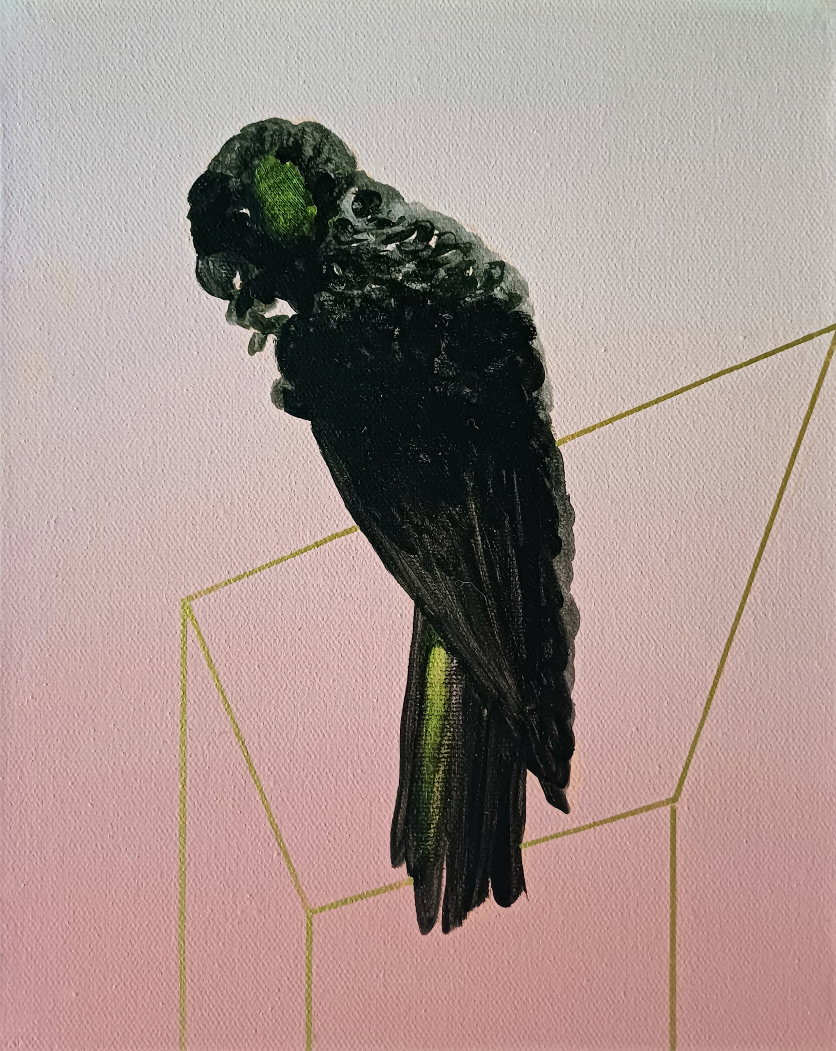 What the Trees Remember 1