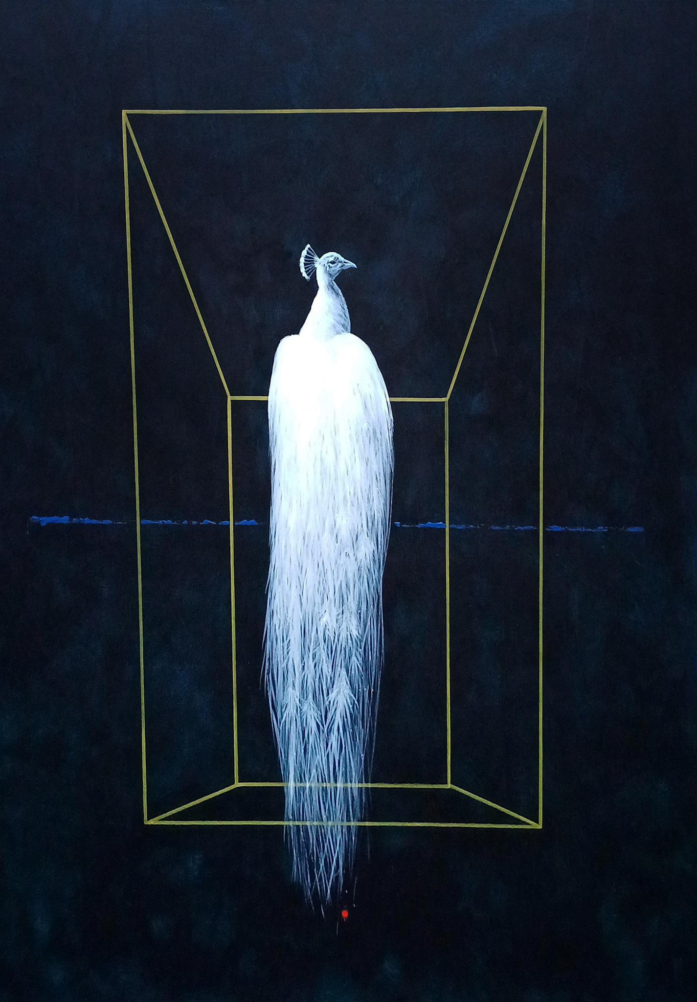 Stillness in the Frame