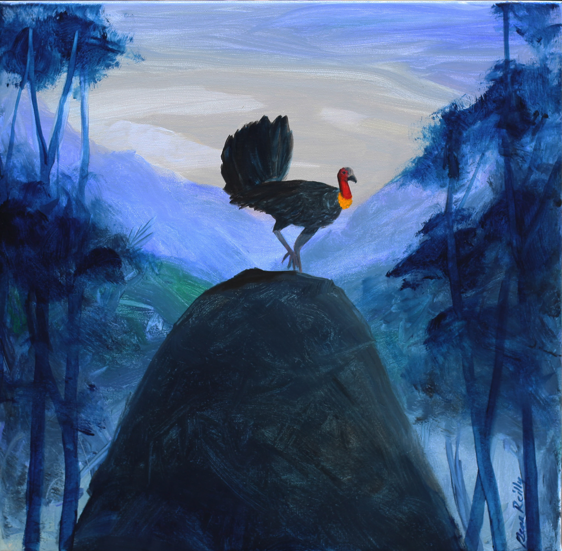Bush Turkey