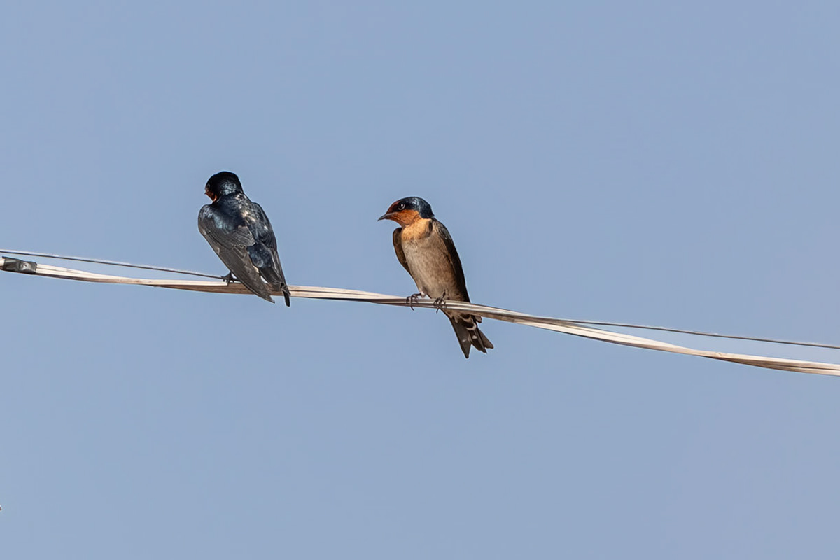 ?? (over The Mae Klong River near the railway market)