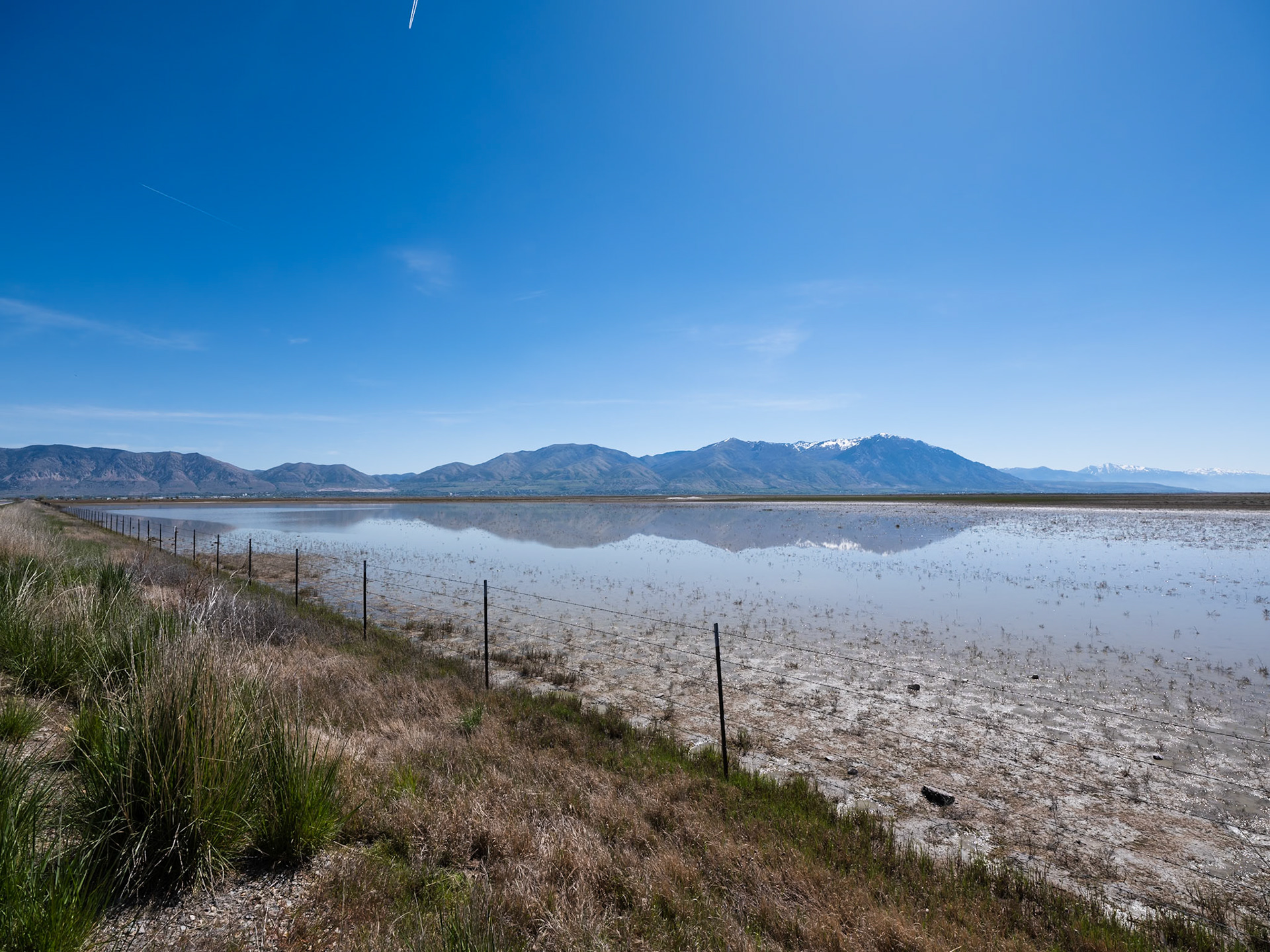 Bear River Migratory Bird Refuge
