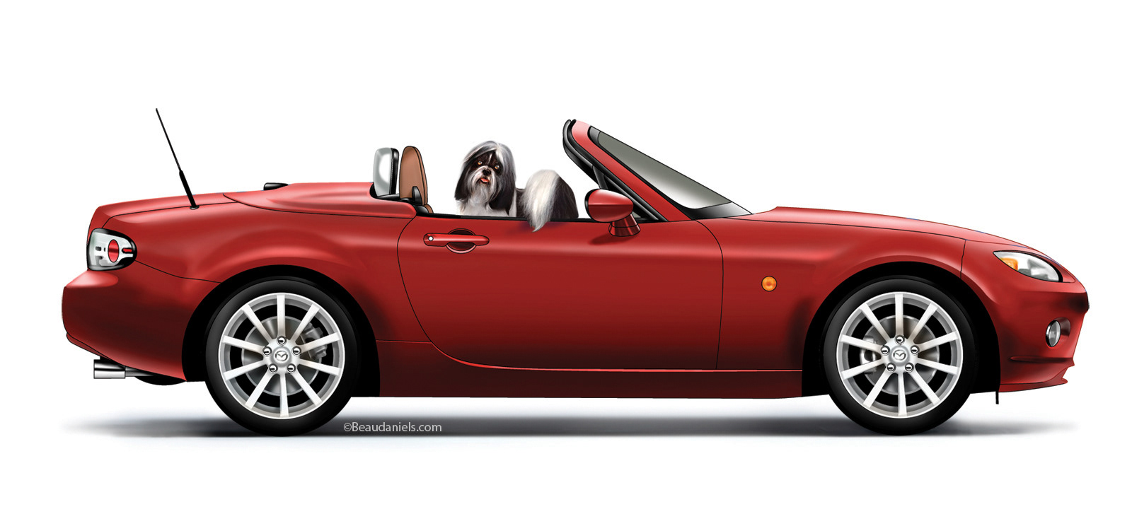 Miata And a Tzu