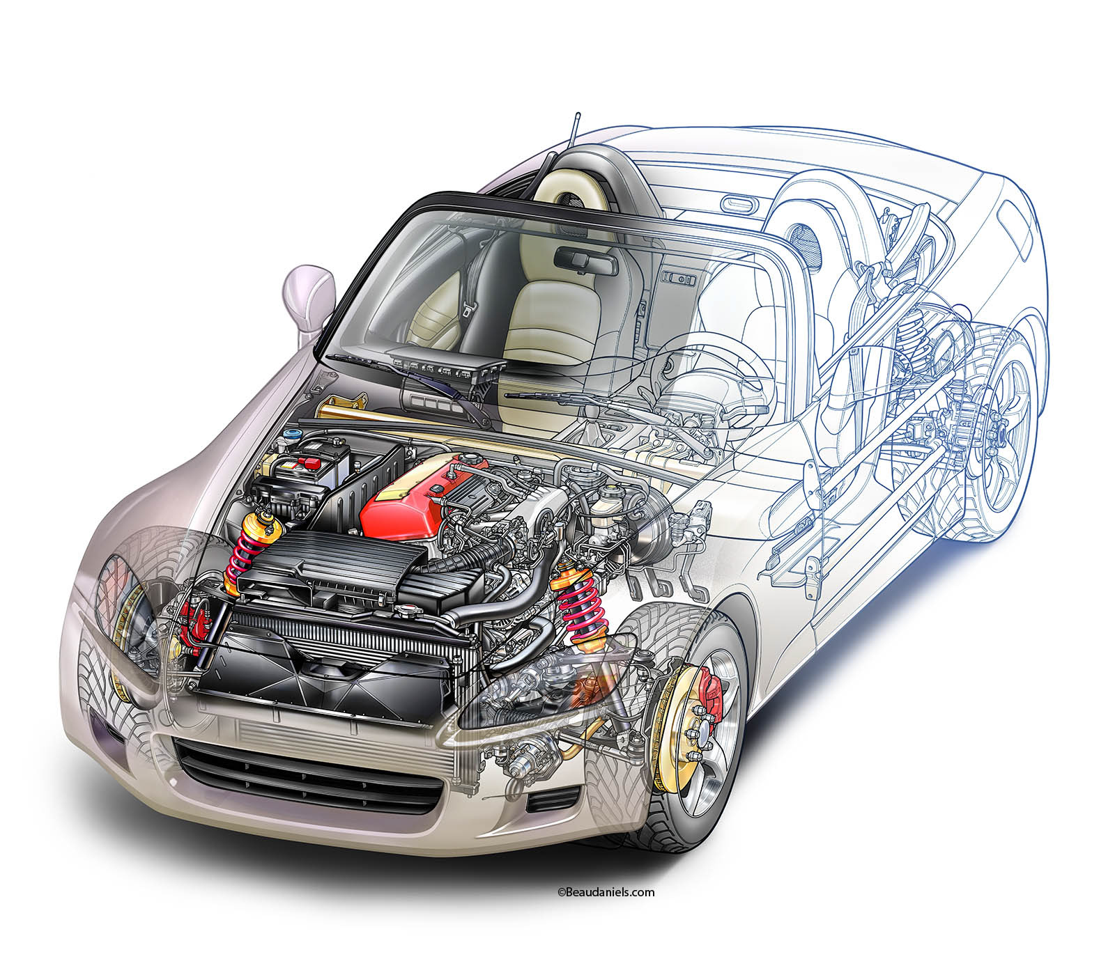 Drawn to realistic cutaway sports car