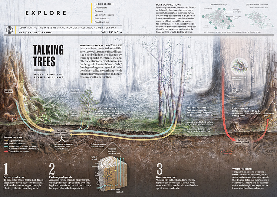 We were chosen to illustration the opening of a new section in National Geographic Magazine, below is the way it was handled.