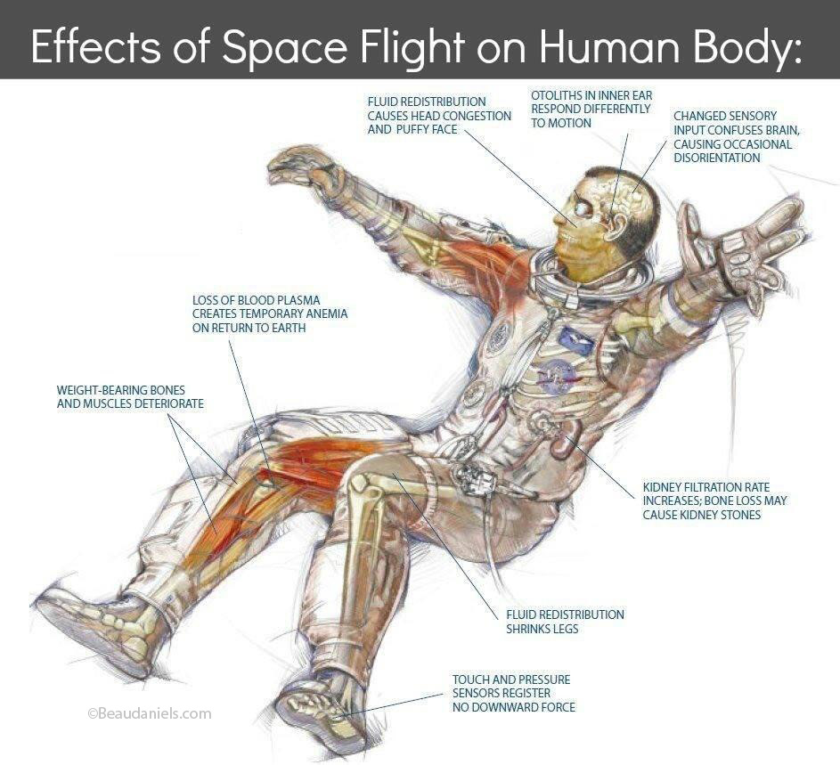 space suit cutaway