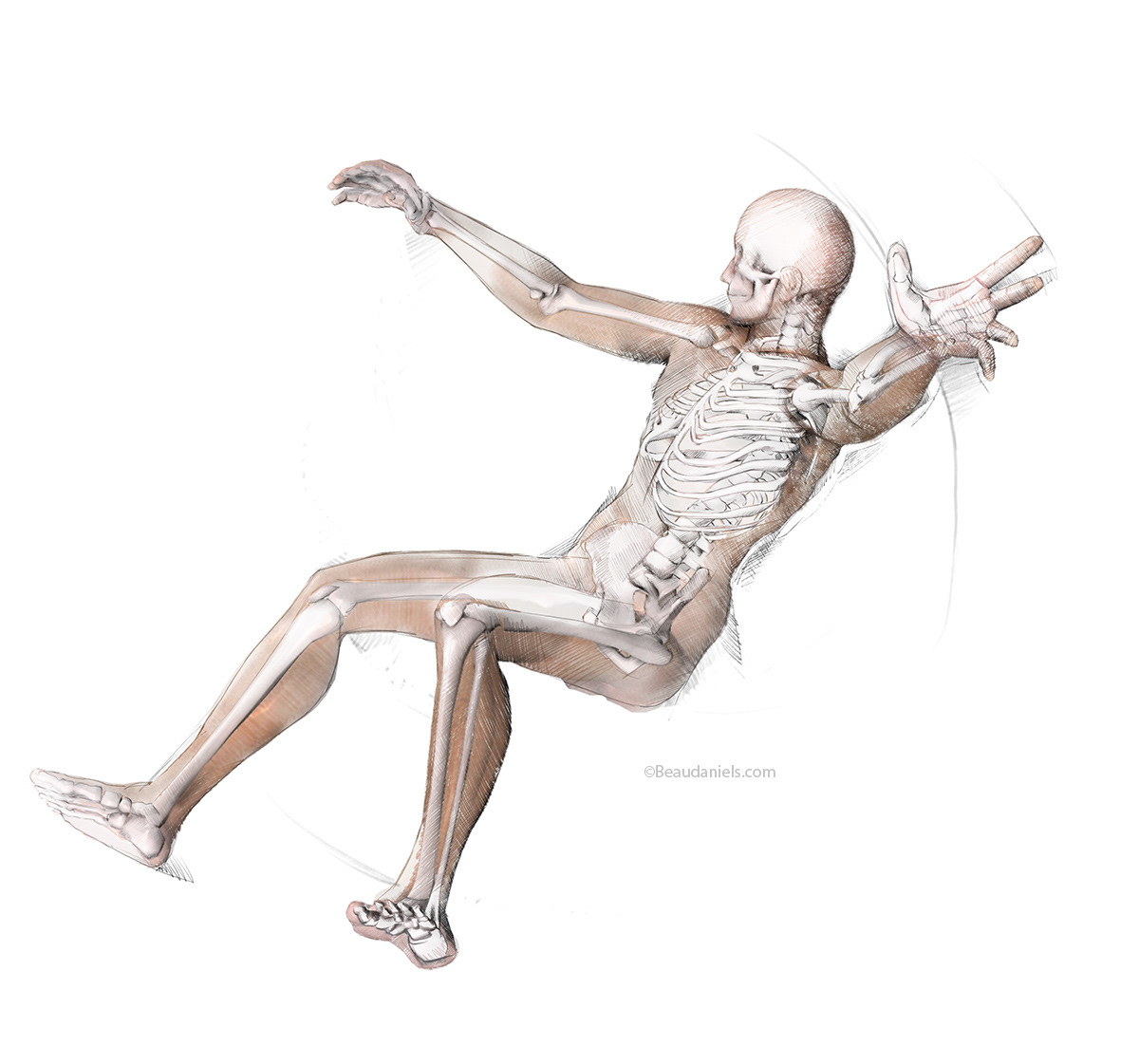 The skeleton was added to the wire frame.