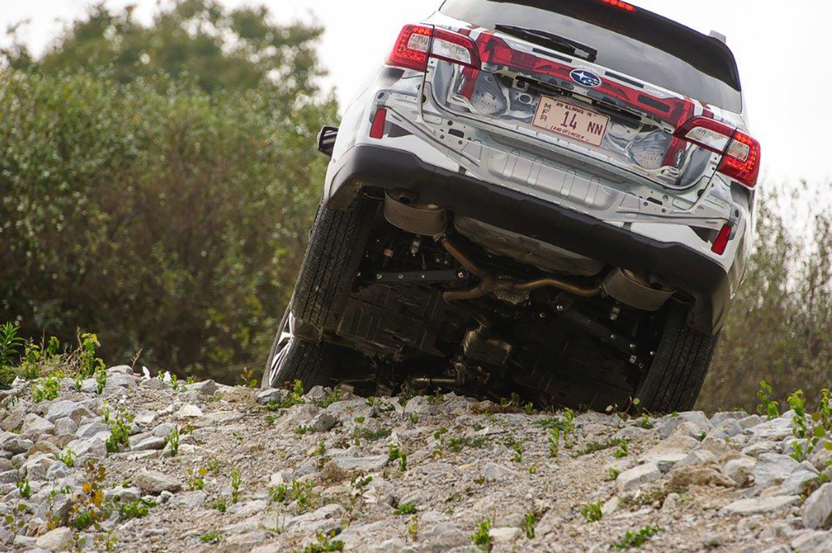 Another action shot.