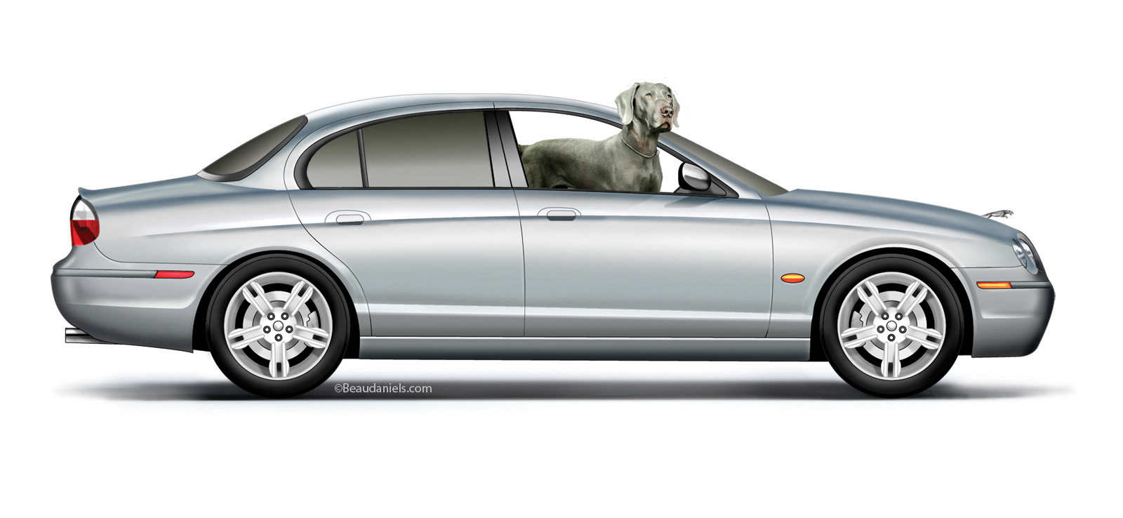 A Jaguar and a weimaraner.