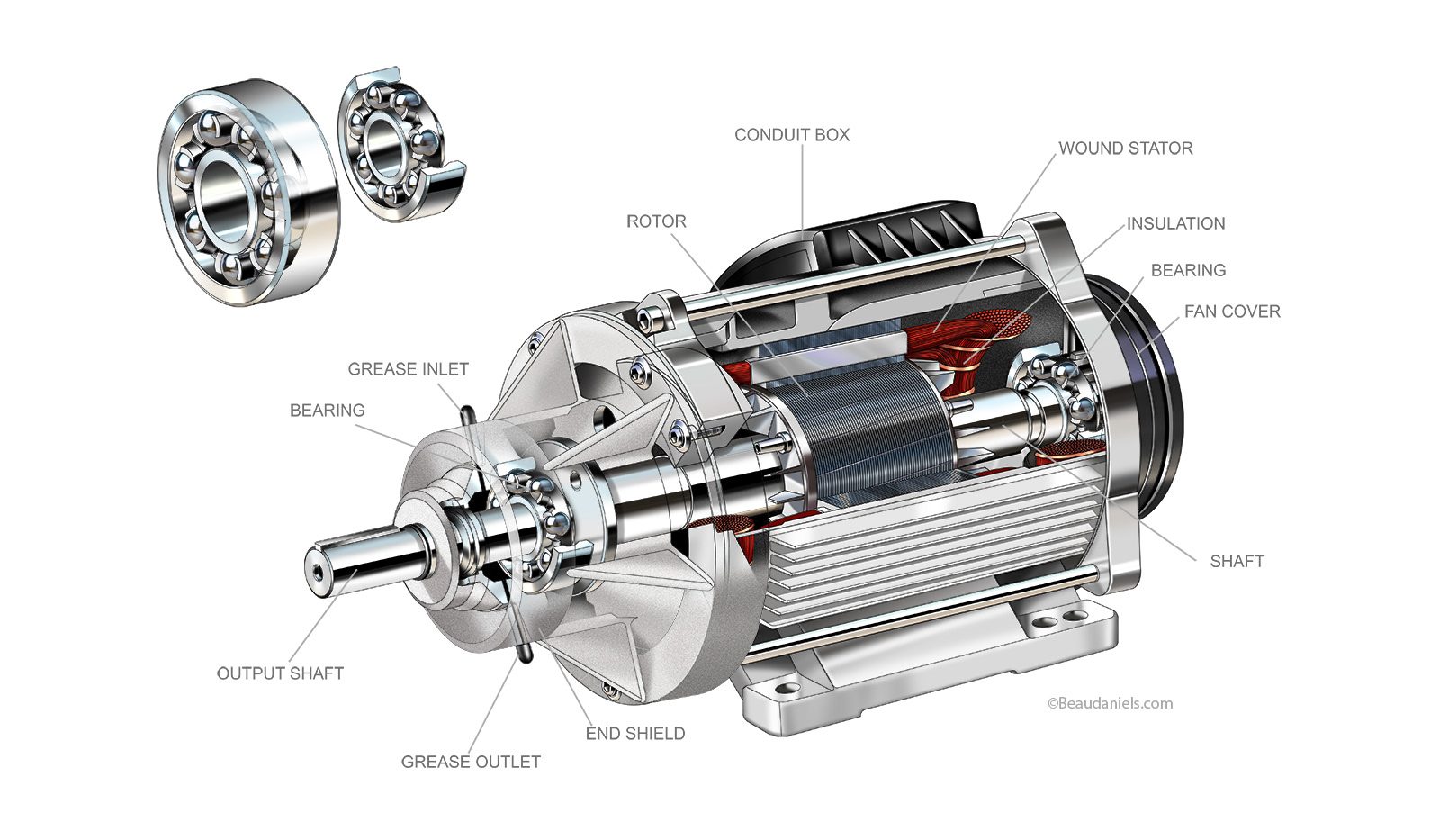 Cutaway electric motor and bearings.