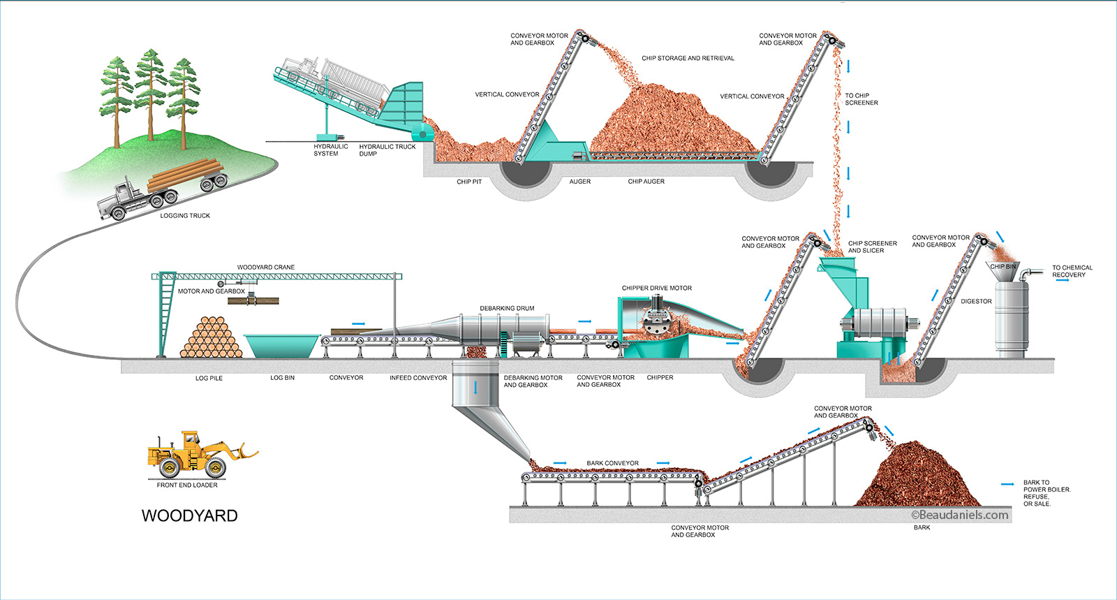 Infographic, Paper making. The Wood Yard