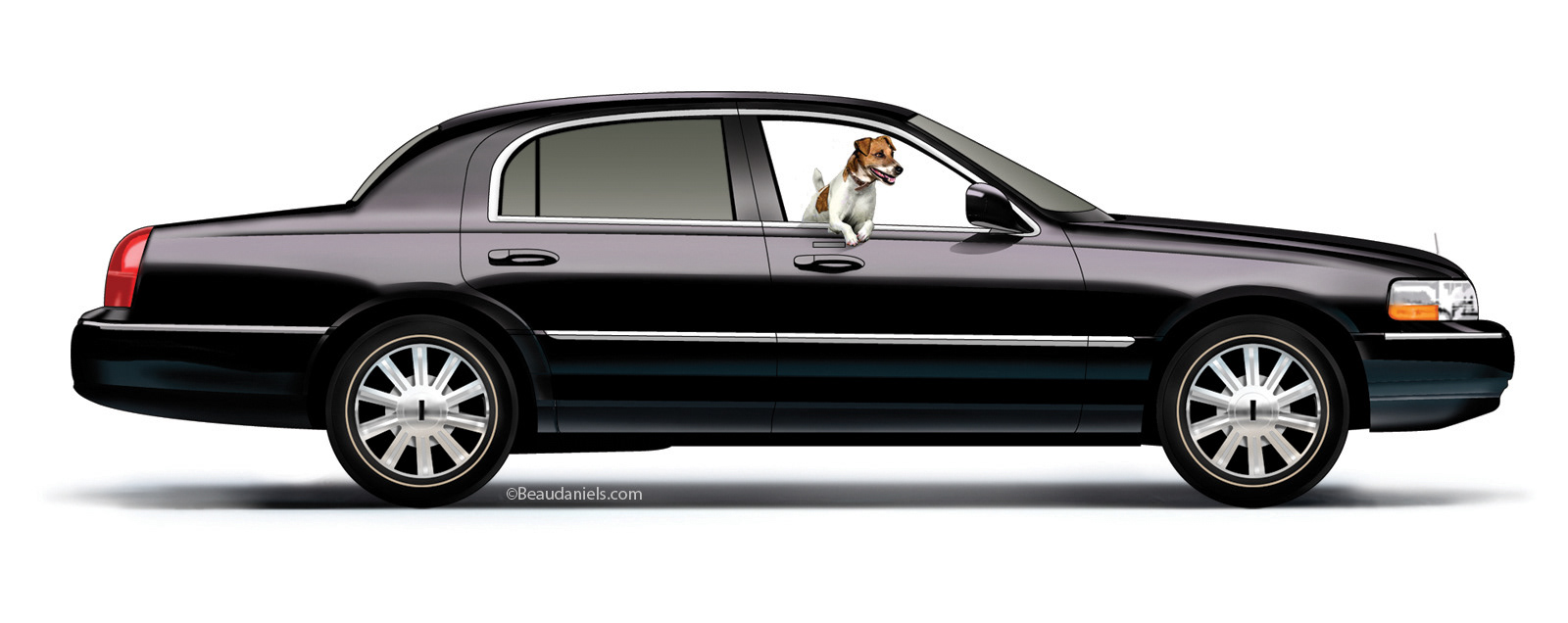 A 2007 Lincoln and a Jack Russell.
