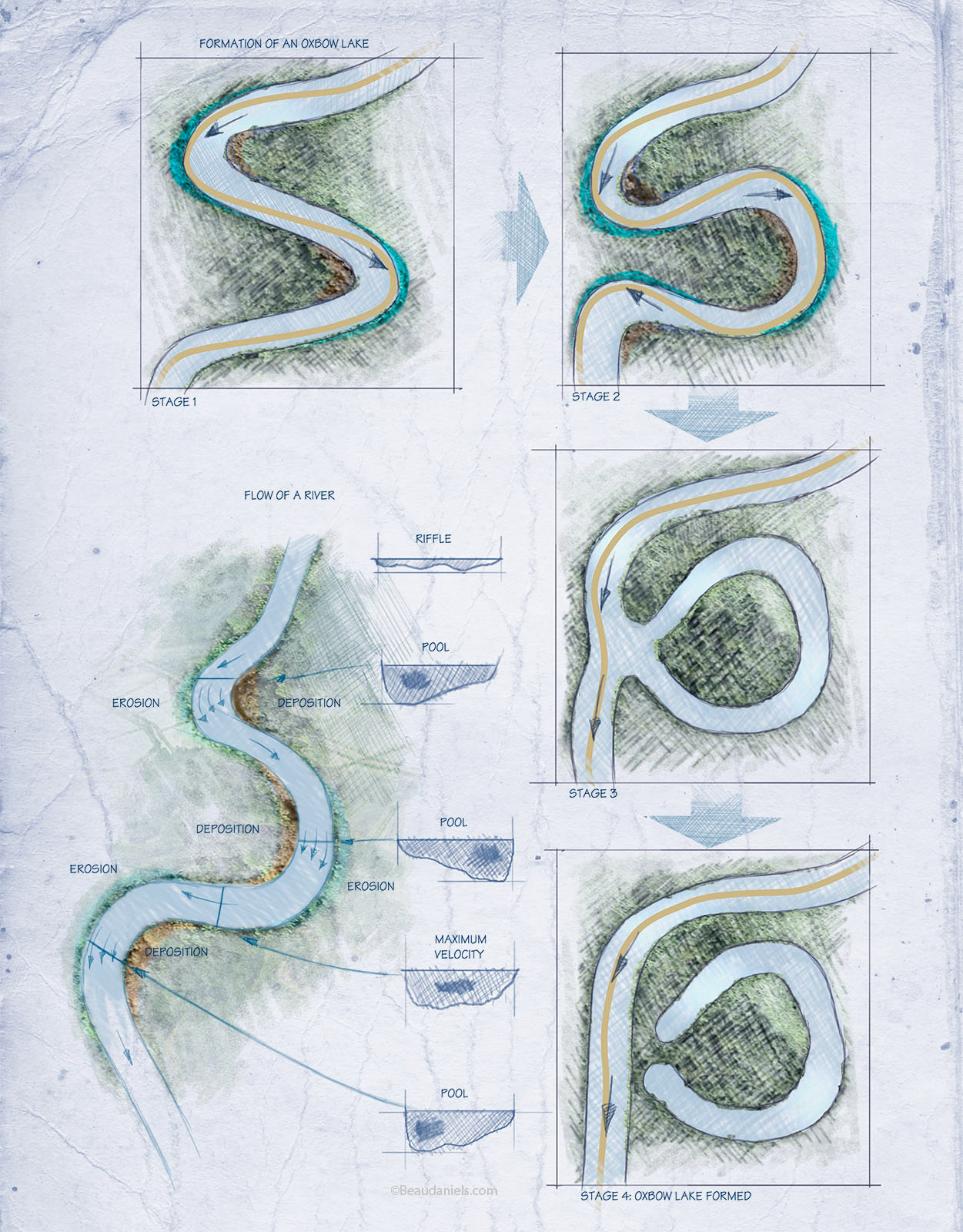 Oxbow lake formation. A U-shaped body of water that forms when a wide meander from the main stem of a river is cut off, creating a free-standing body of water.