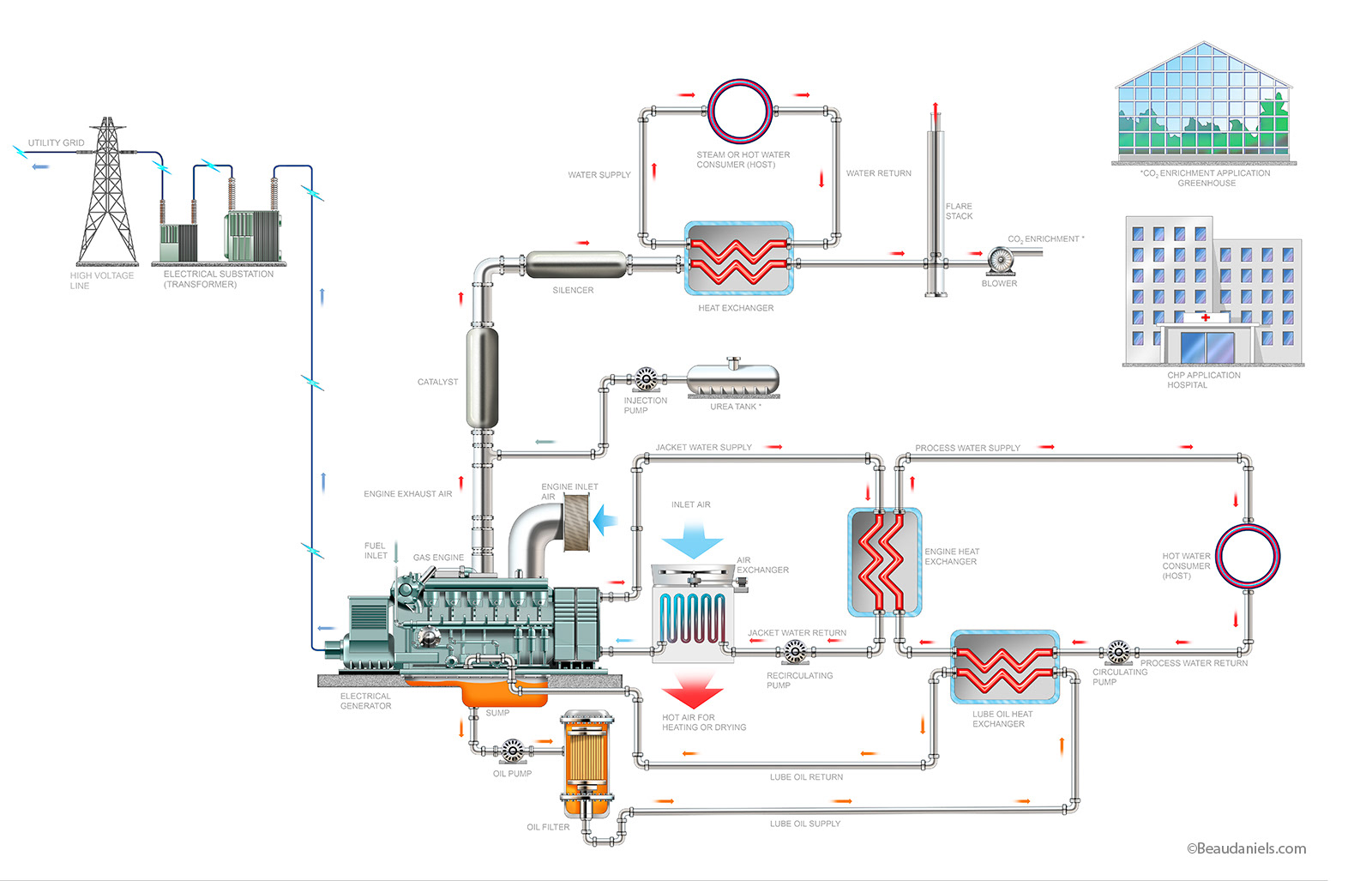 CHP energy process, cutaway info graphic illustration.