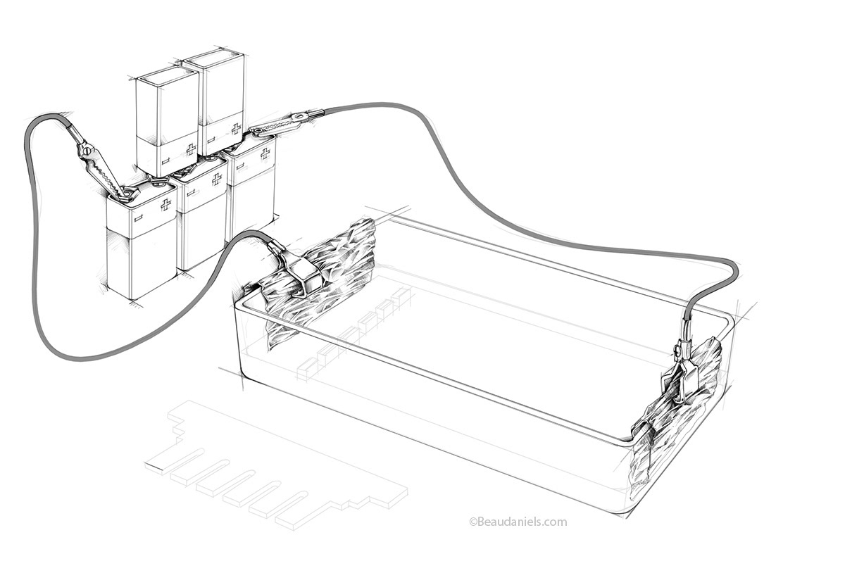 Bio. drawing.