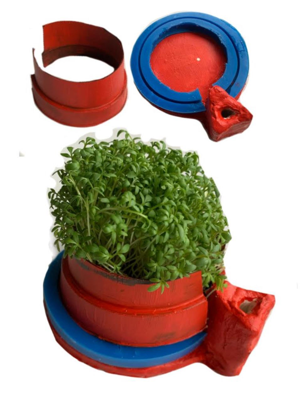 Charm shaped pots to grow the plants