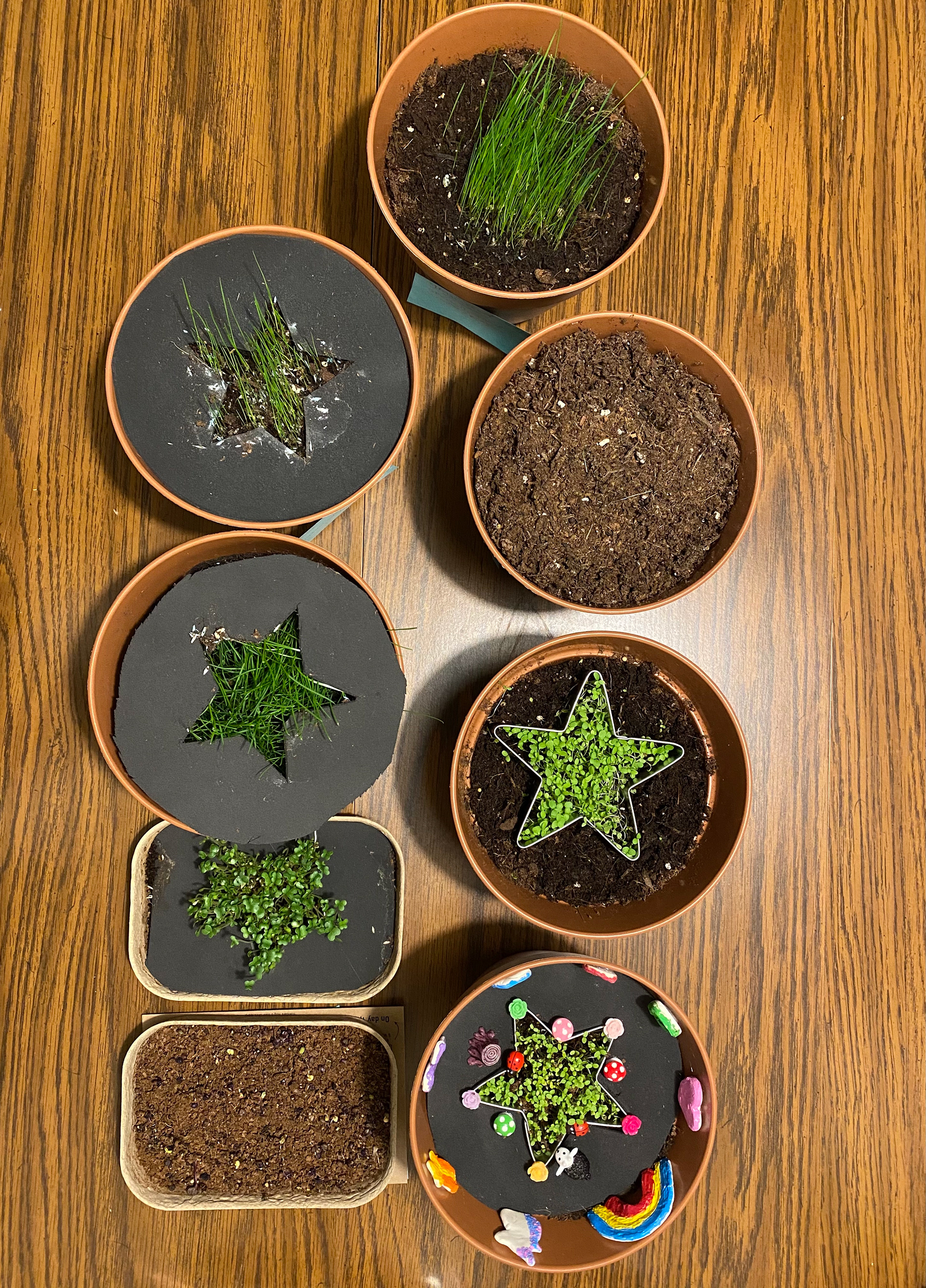 Stencils to grow the plants in charm shapes