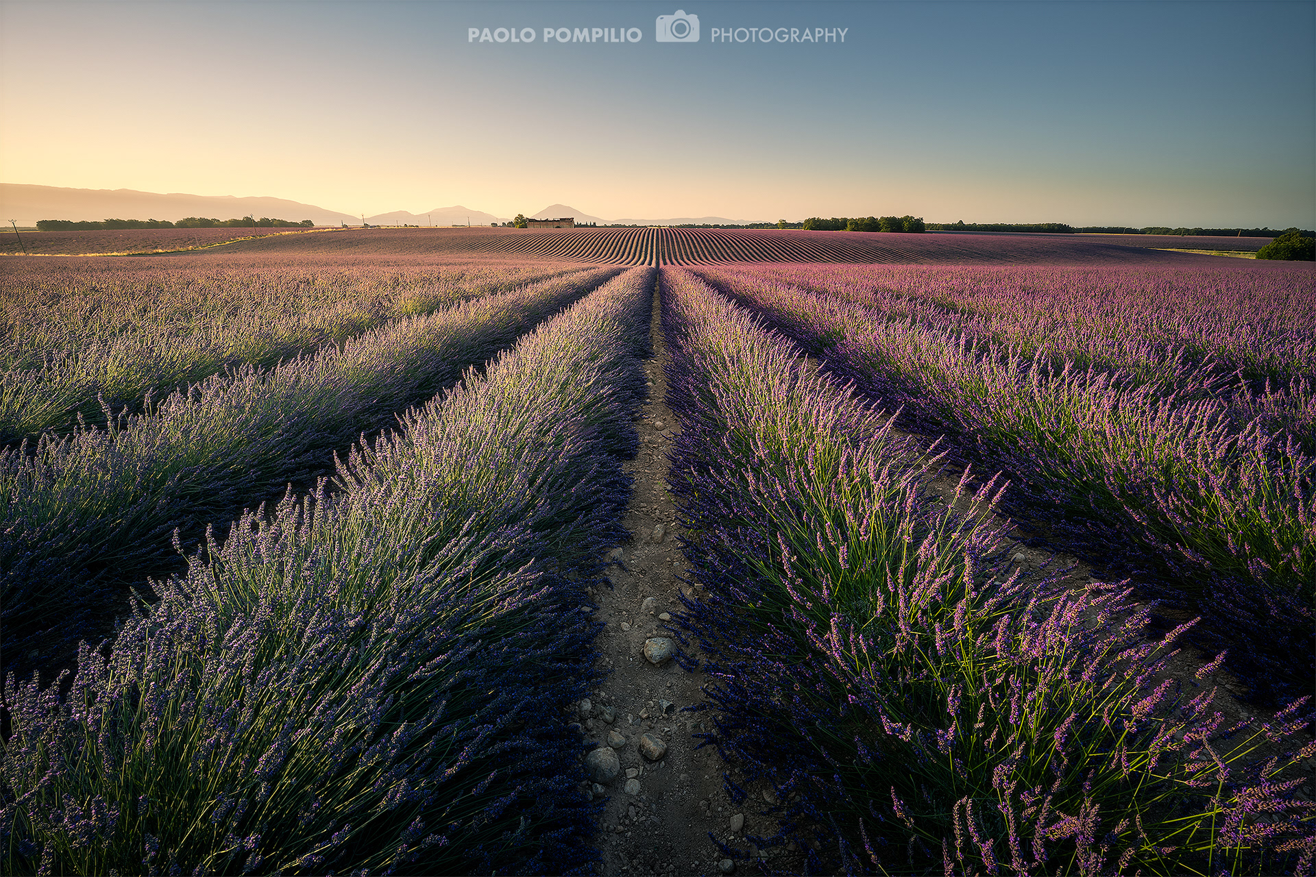 Valensole