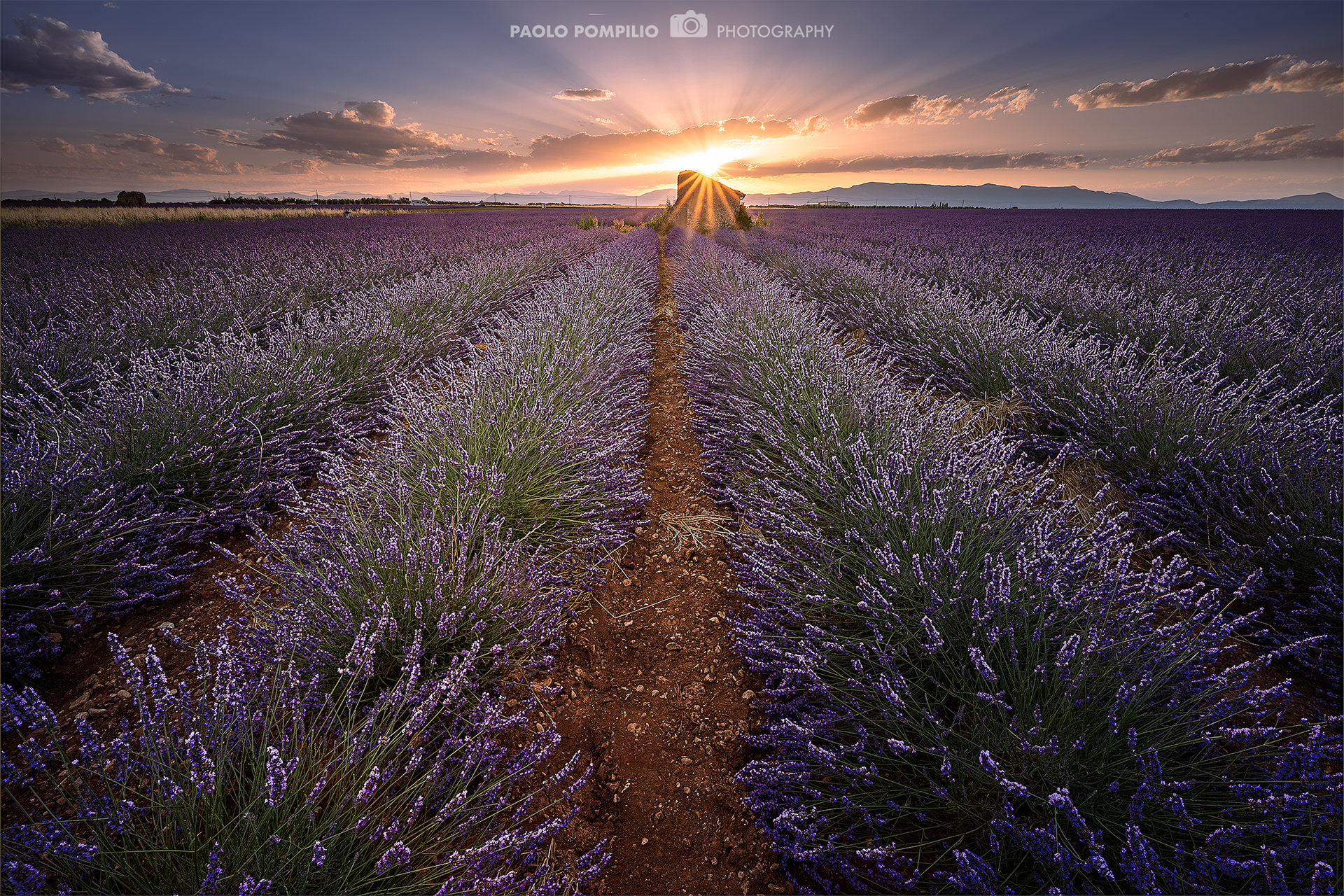 Valensole